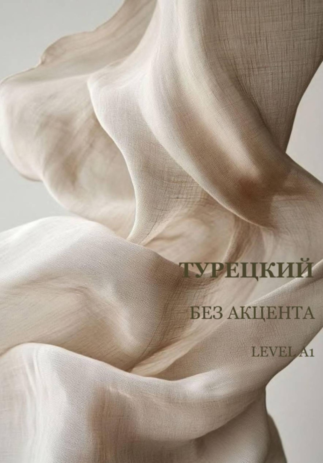 Обложка книги «Турецкий без акцента А1»