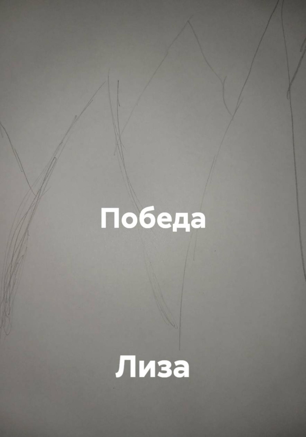 Обложка книги «Победа»