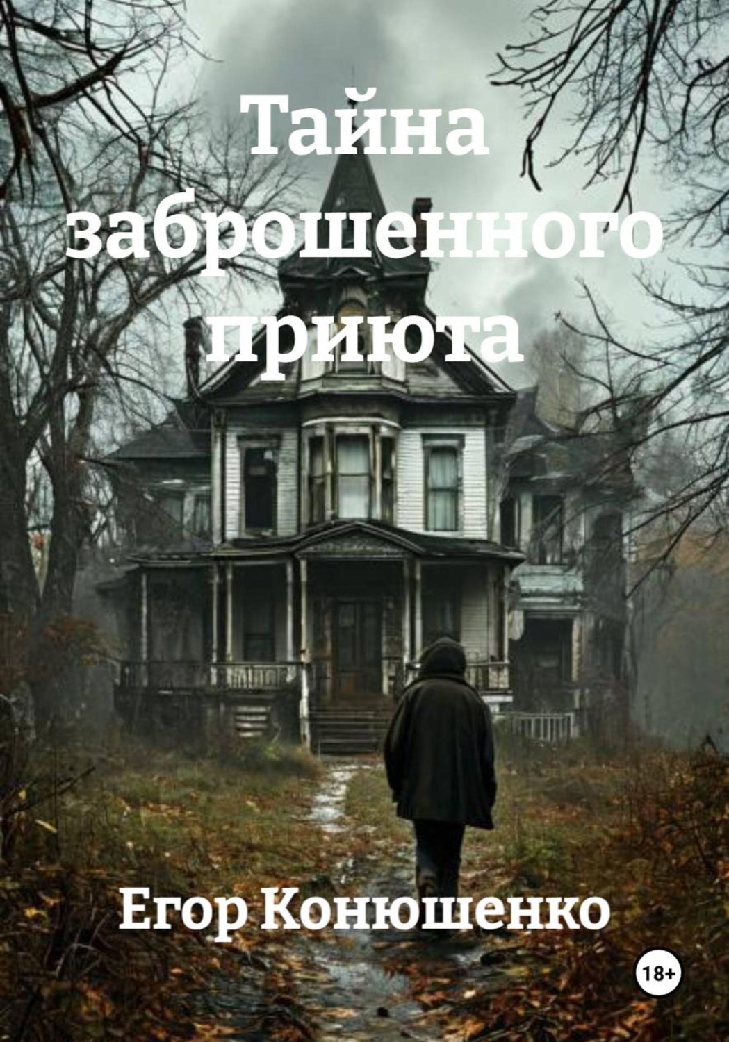 Обложка книги «Тайна заброшенного приюта»