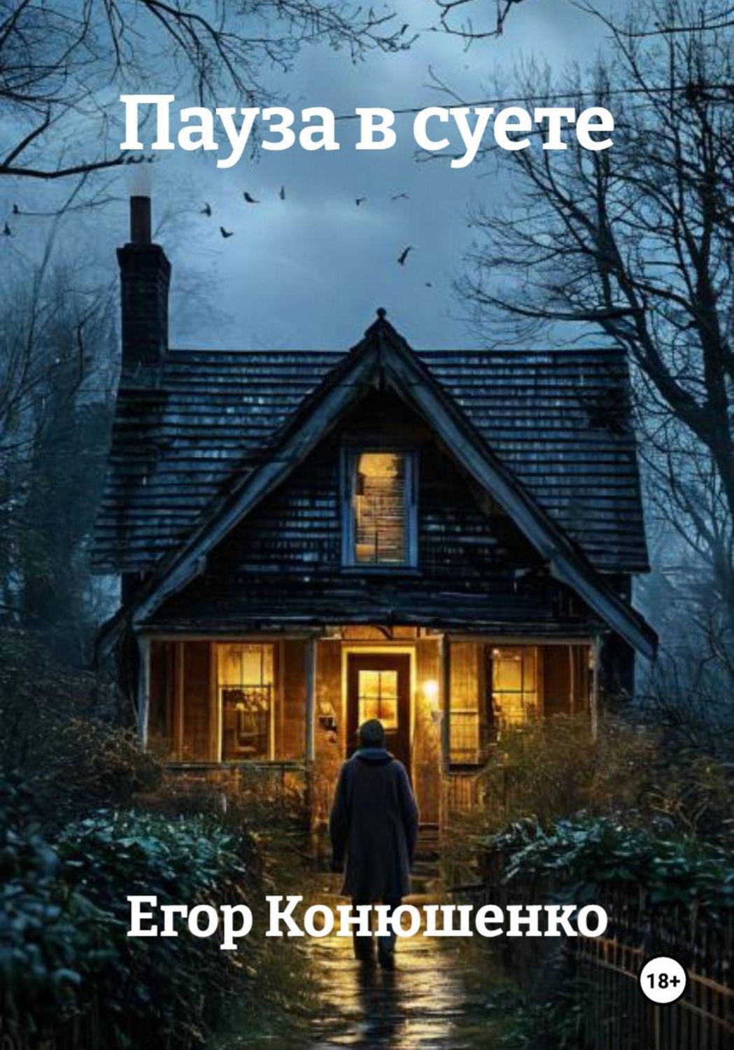 Обложка книги «Пауза в суете»