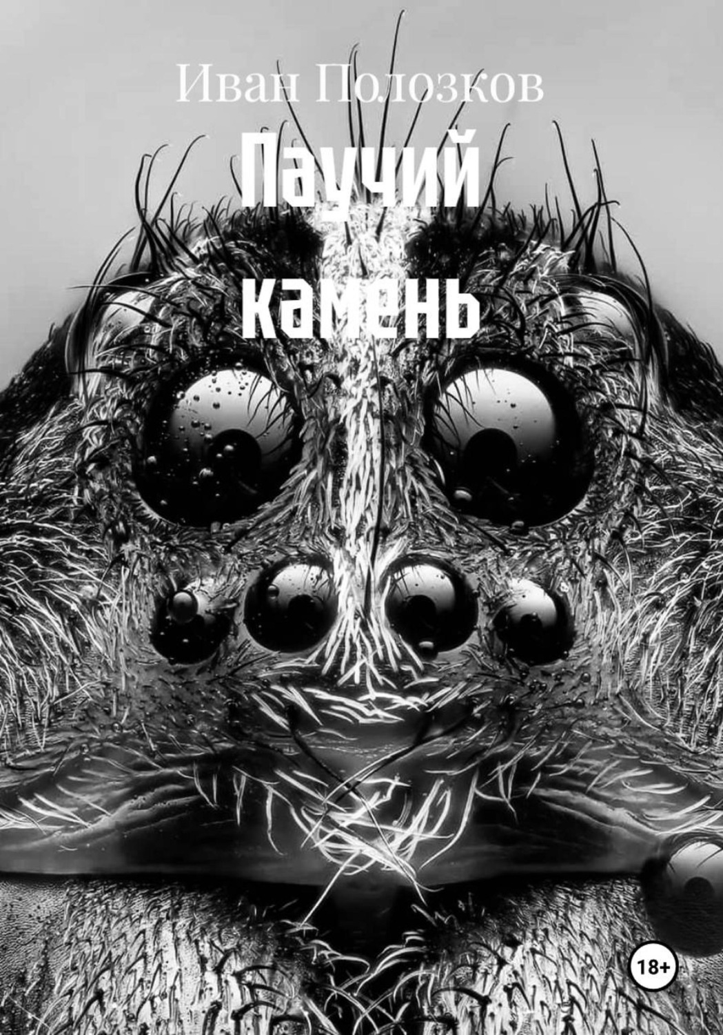 Обложка книги «Паучий камень»