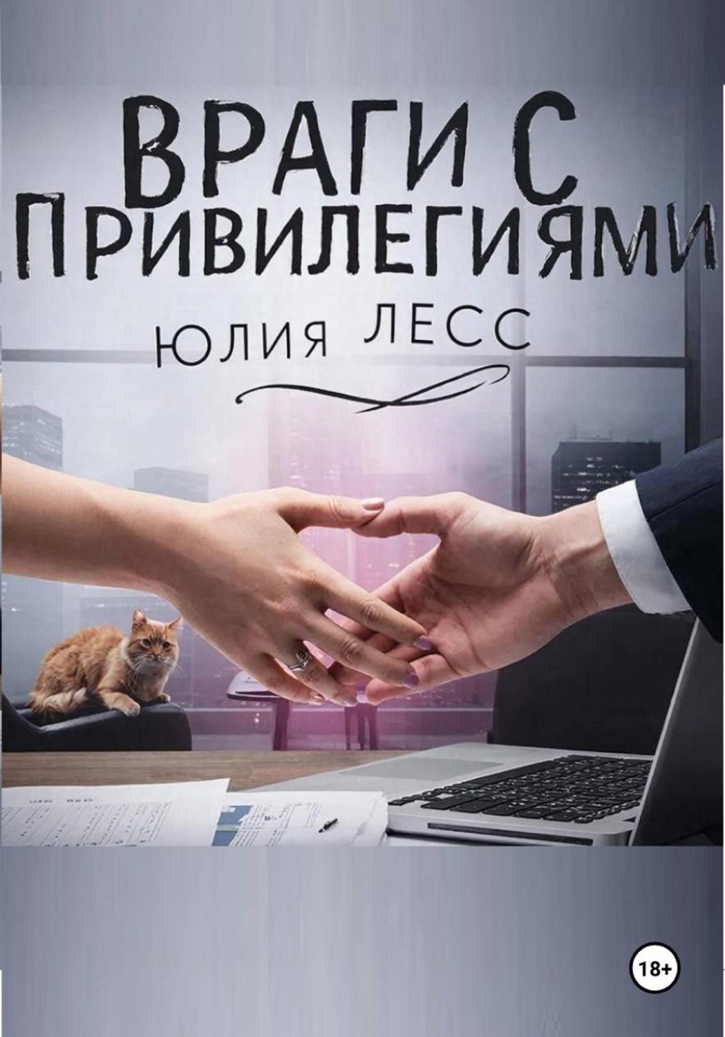 Обложка книги «Враги с привилегиями»