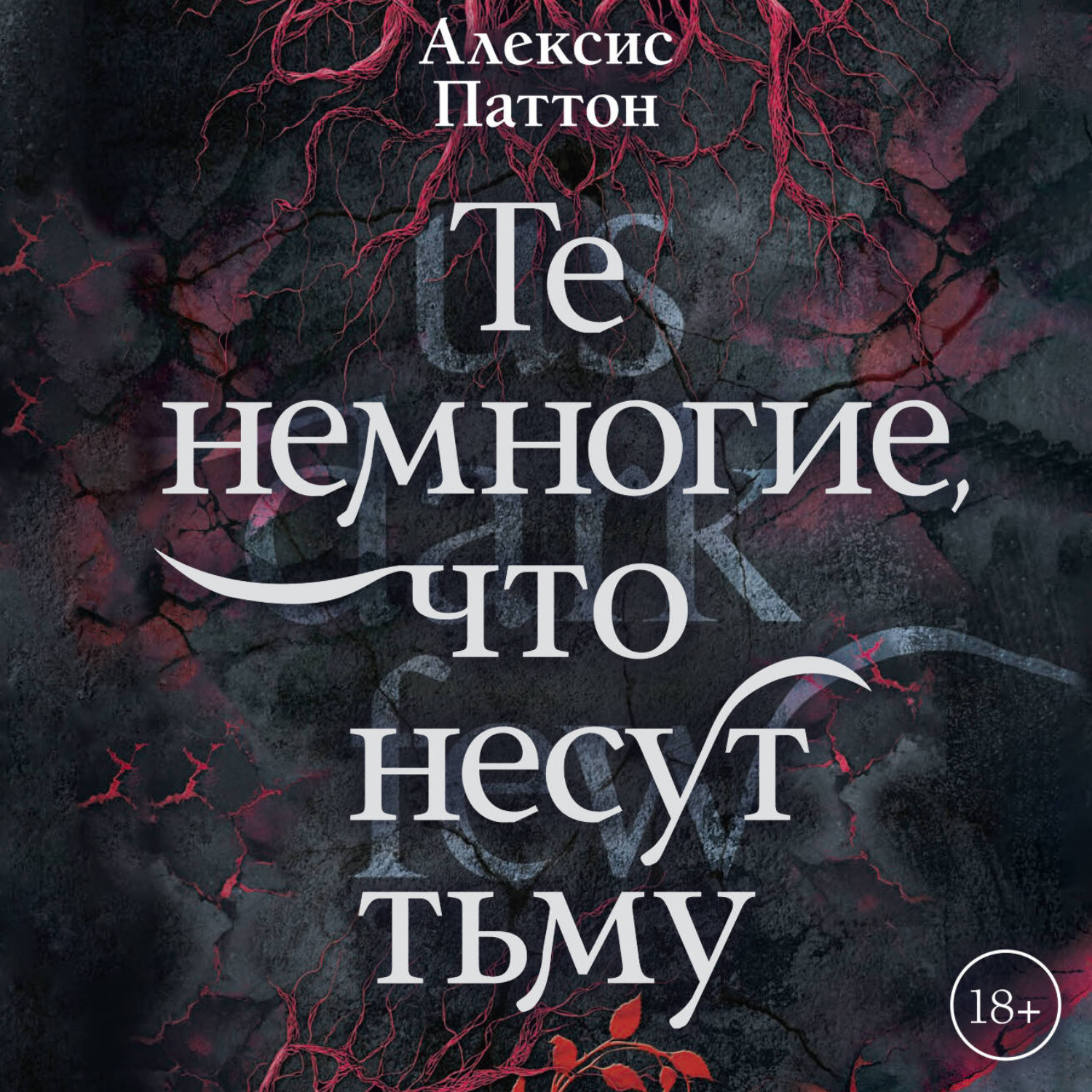 Обложка книги «Те немногие, что несут тьму»