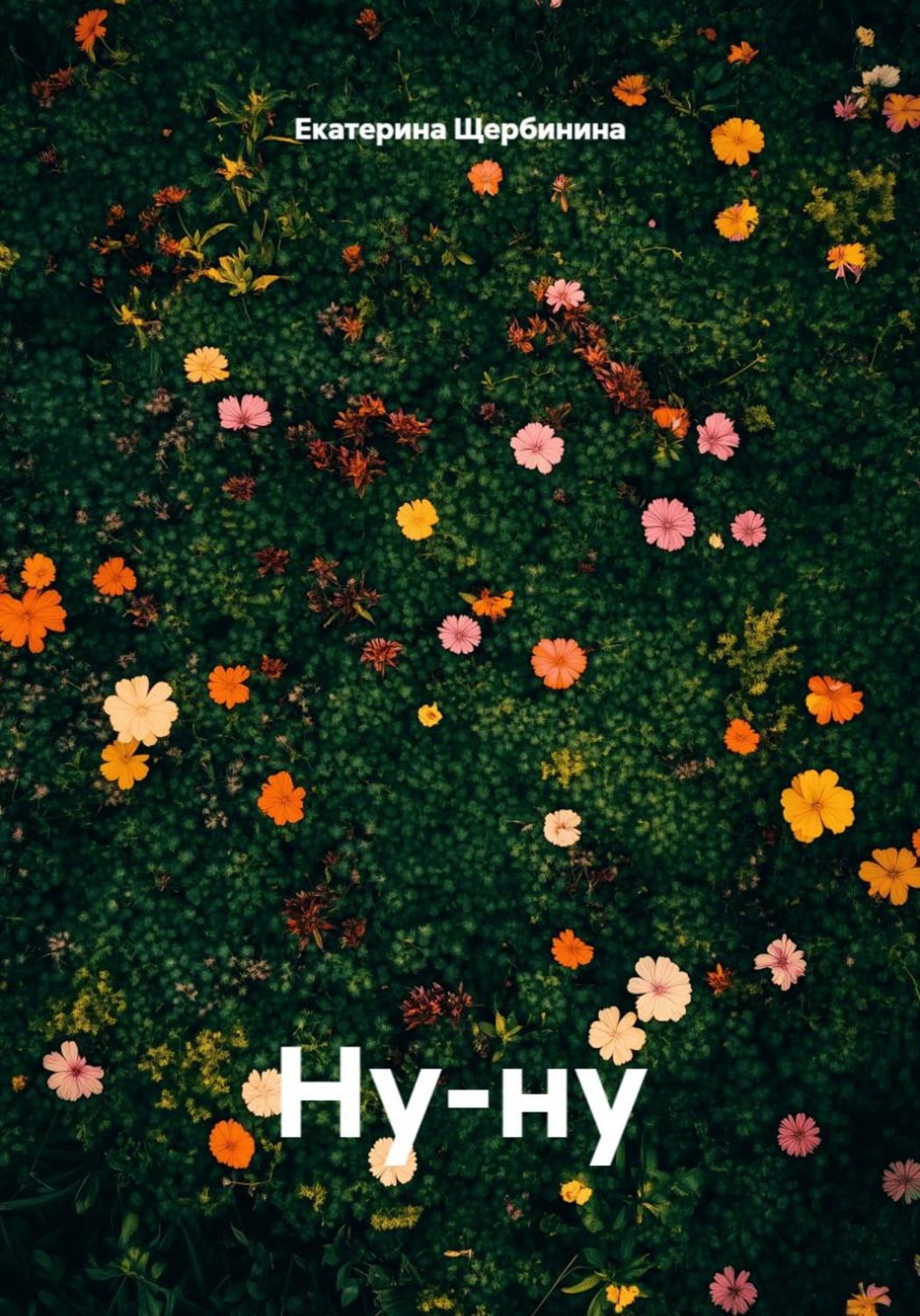 Обложка книги «Ну-ну»