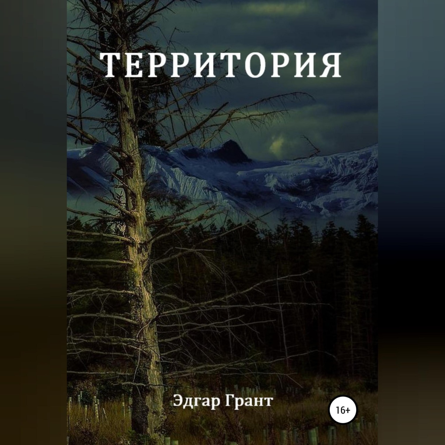 Обложка книги «Территория»