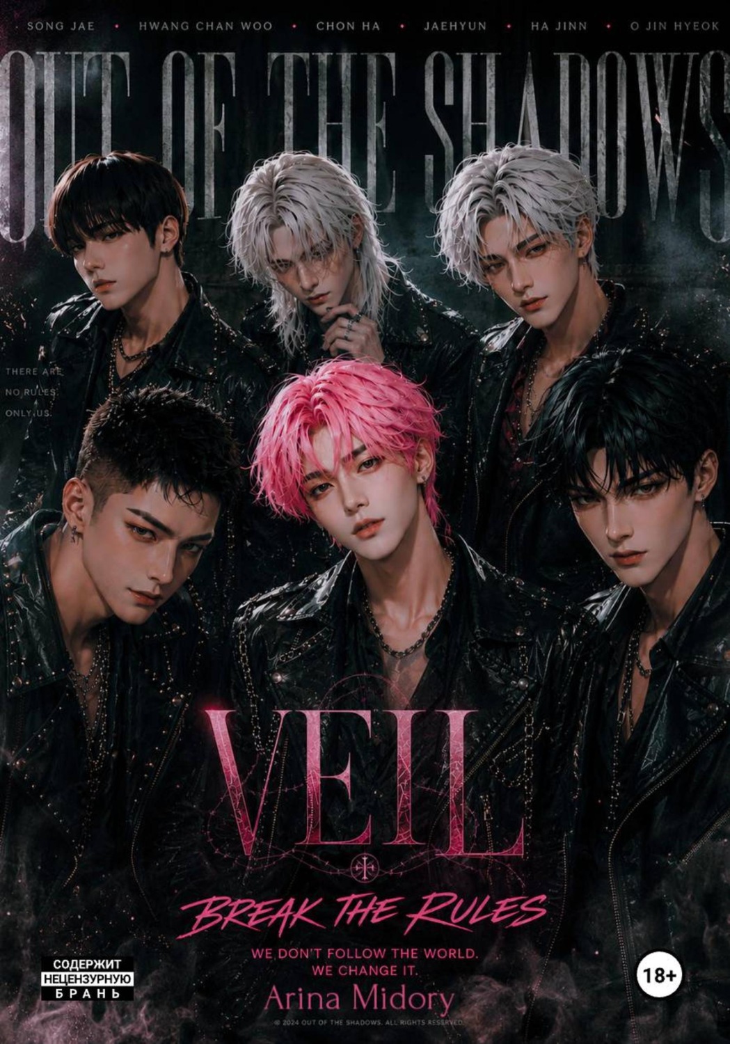 Обложка книги «VEIL»