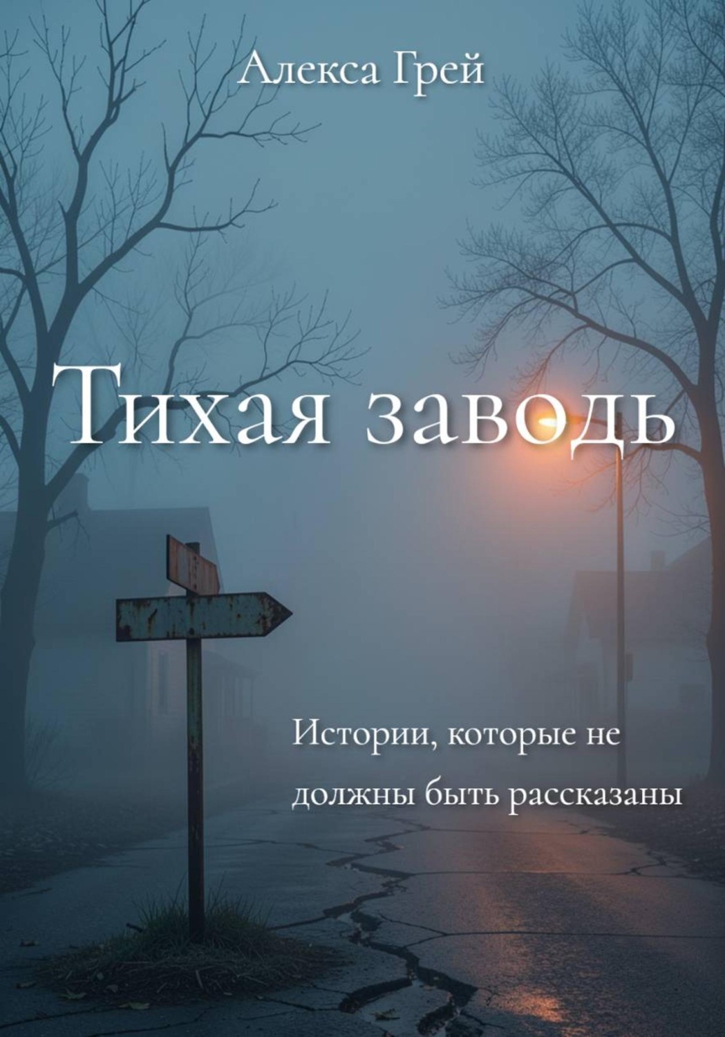Обложка книги «Тихая Заводь. Истории, которые не должны быть рассказаны»