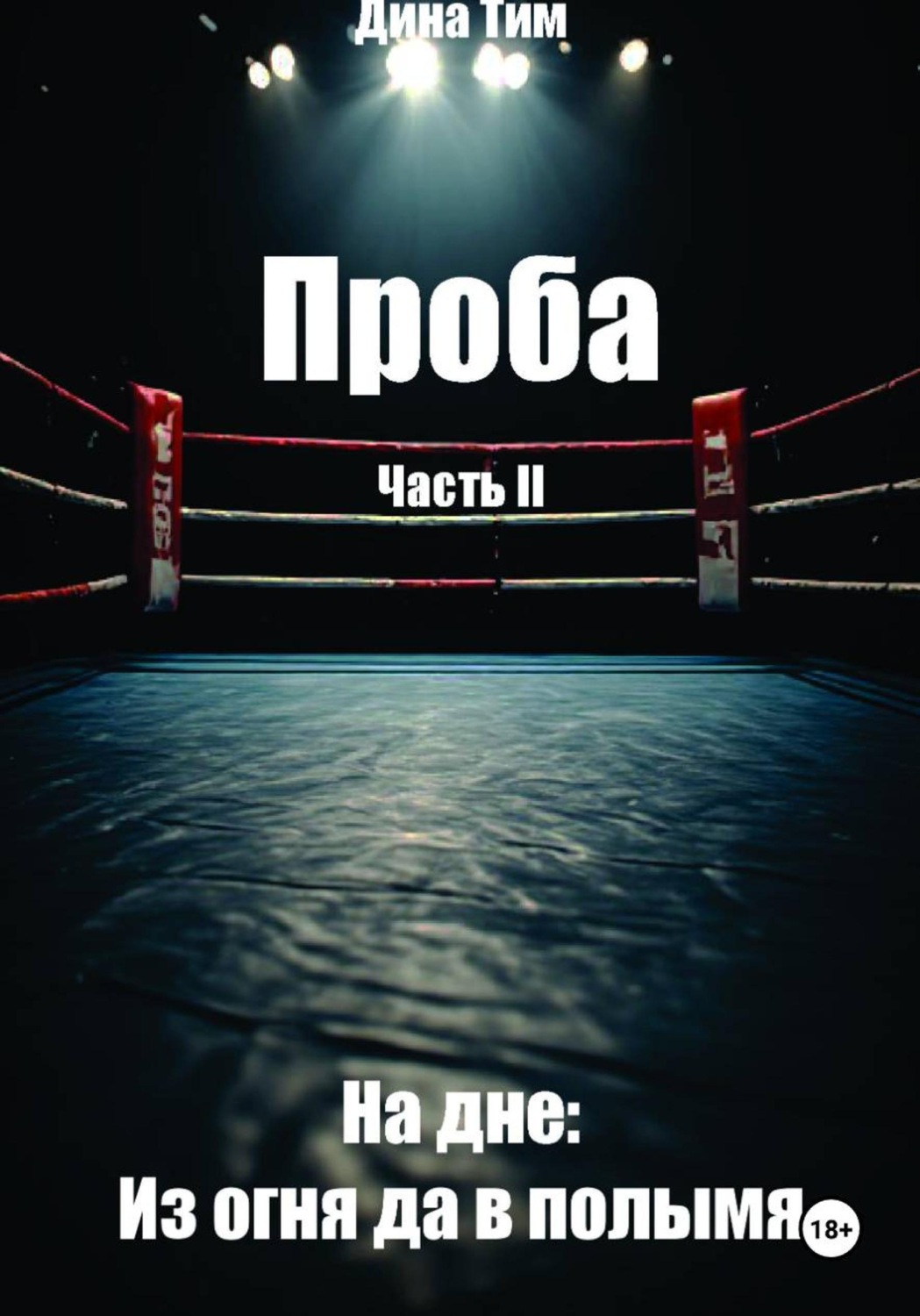 Обложка книги «Проба. Часть II. На дне: из огня да в полымя»