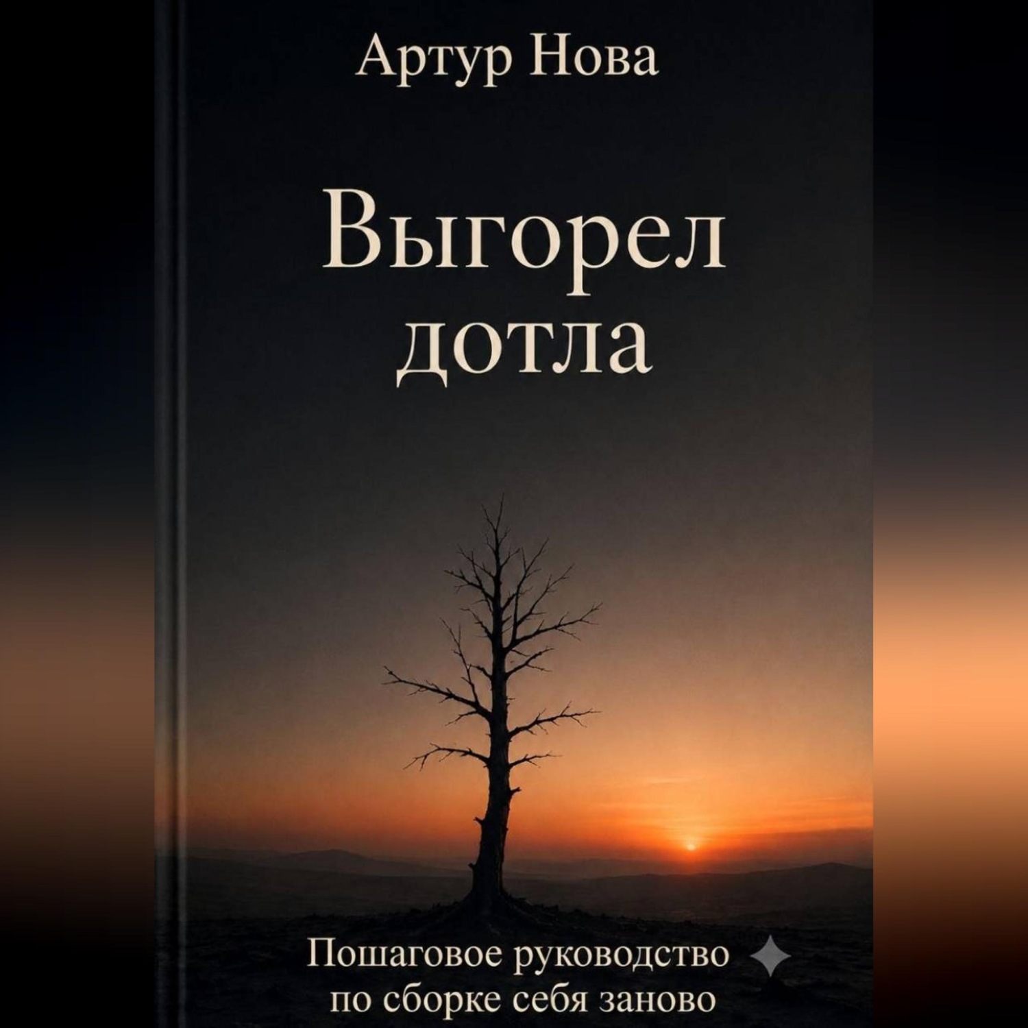 Обложка книги «Выгорел дотла»