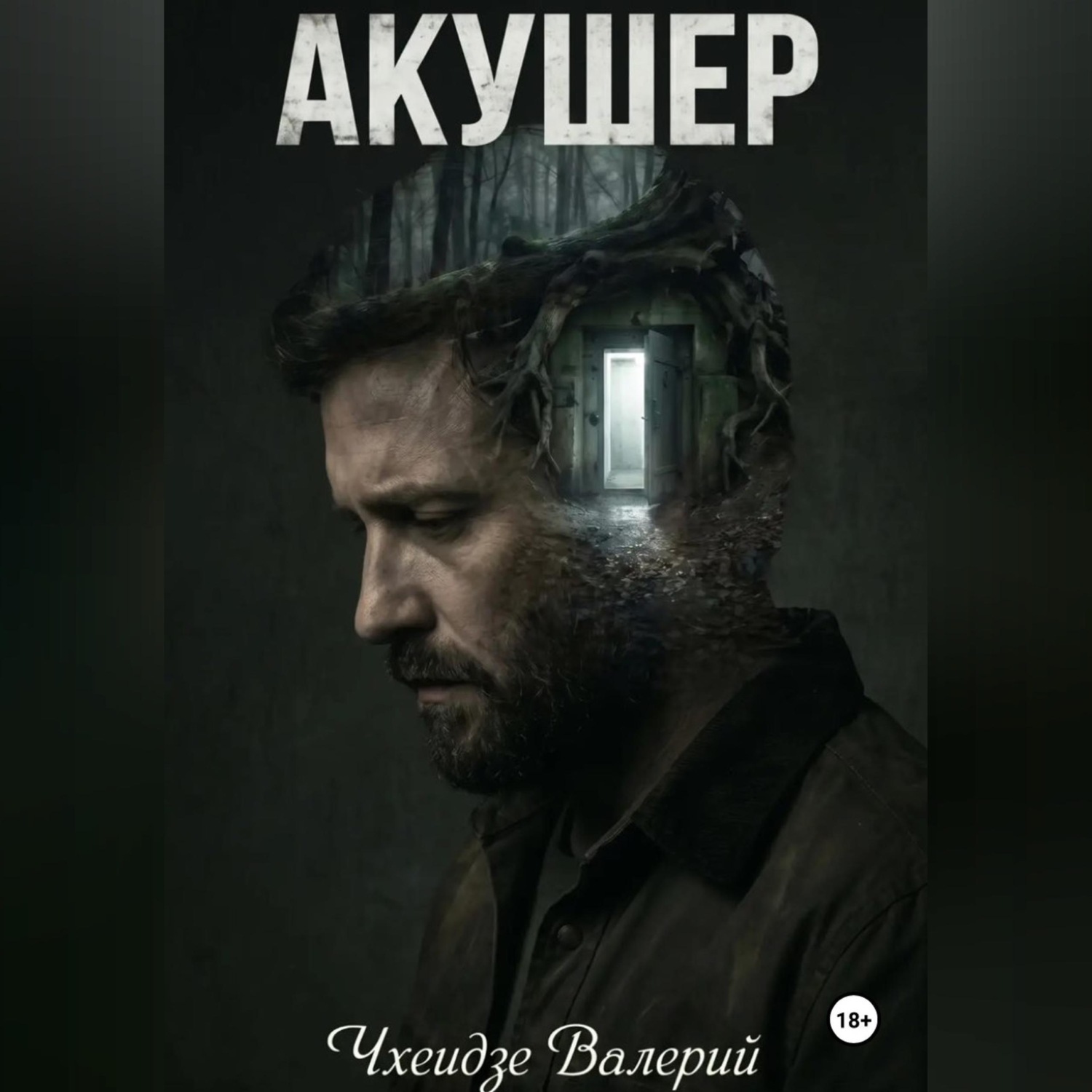 Обложка книги «Акушер»