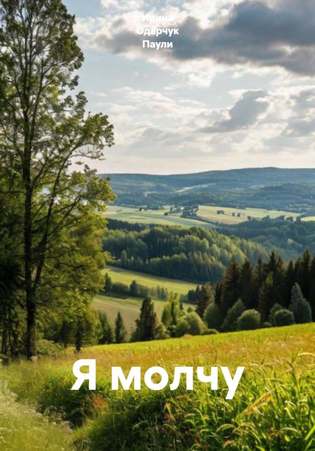 Обложка книги «Я молчу»