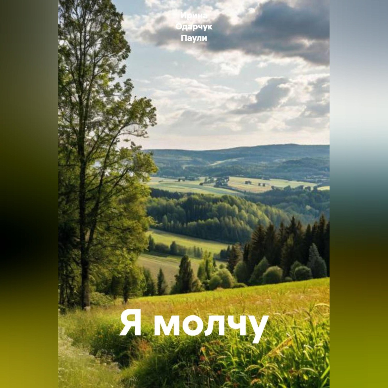 Обложка книги «Я молчу»