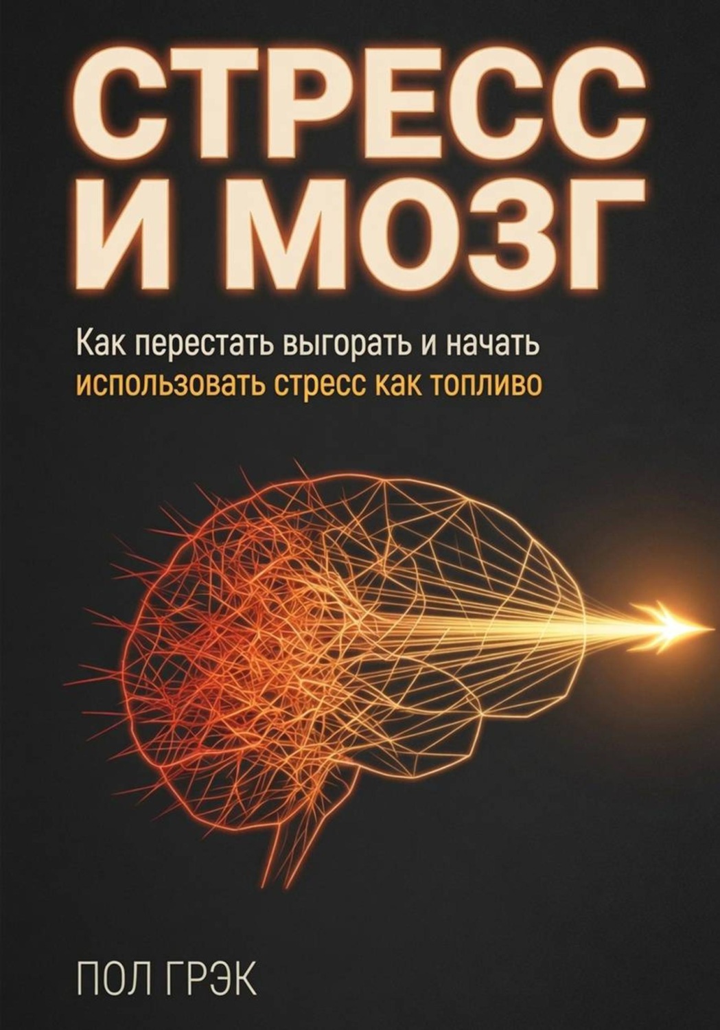 Обложка книги «Стресс и мозг»