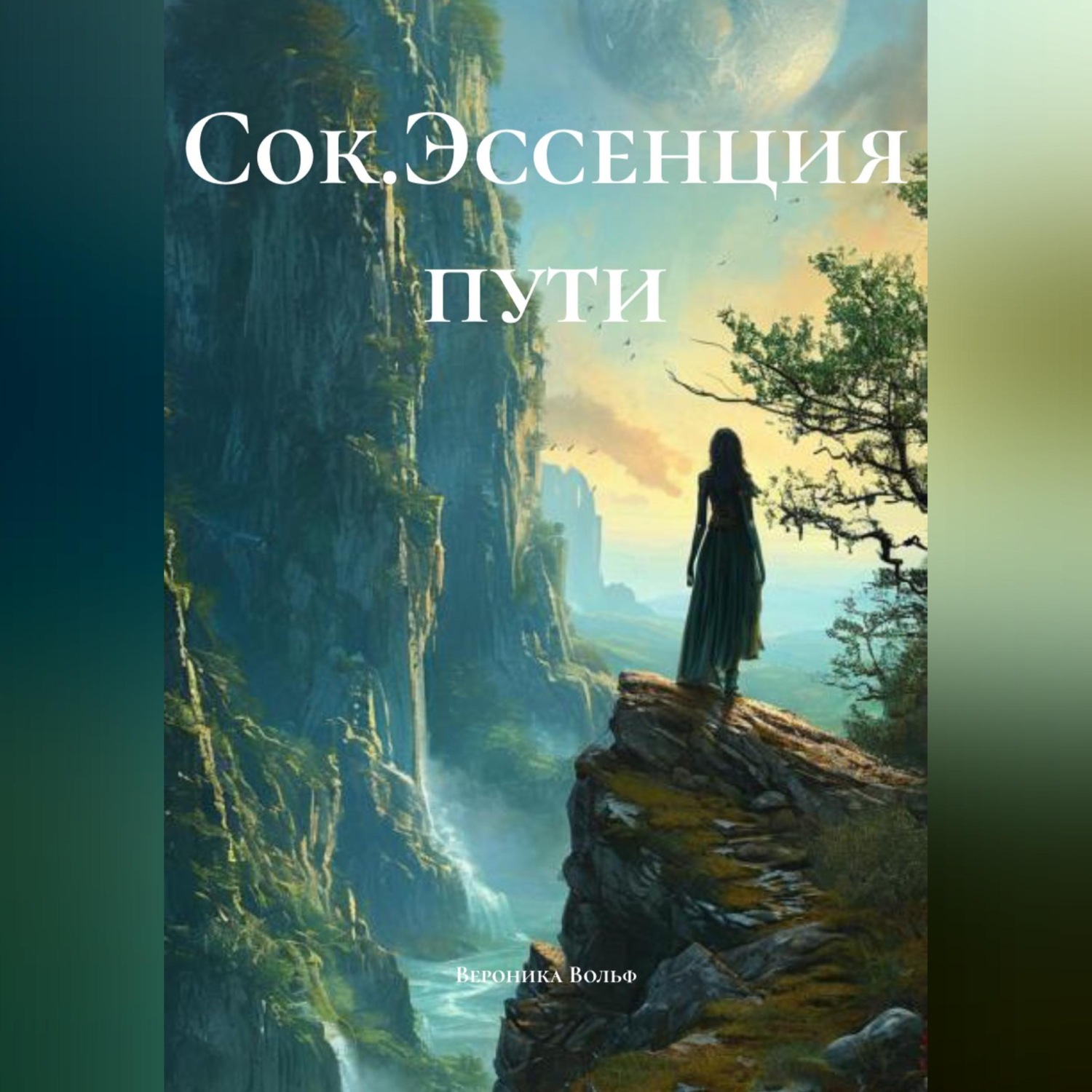 Обложка книги «Сок.Эссенция пути»