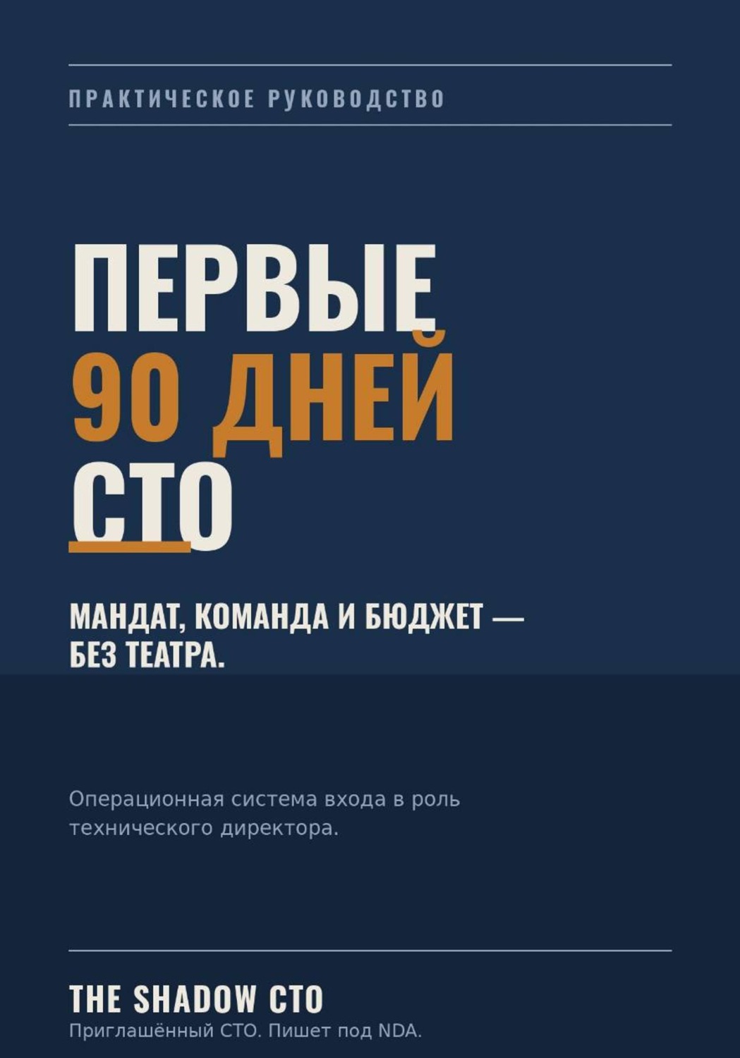 Обложка книги «THE 90-DAY CTO PLAYBOOK»