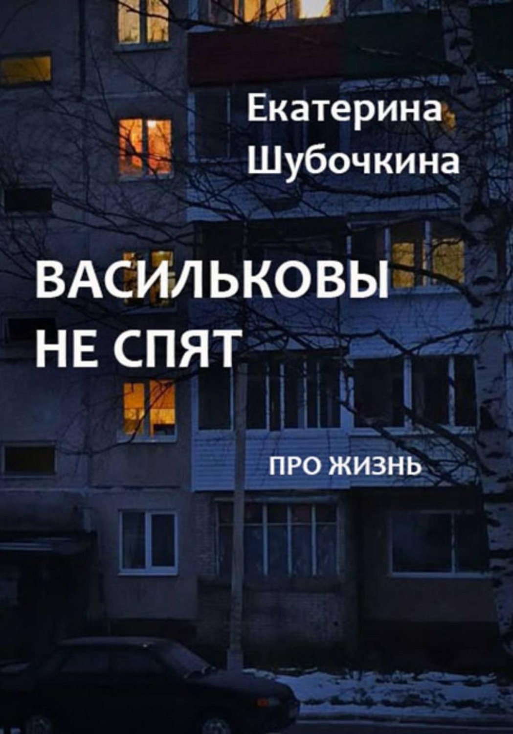 Обложка книги «Васильковы не спят»
