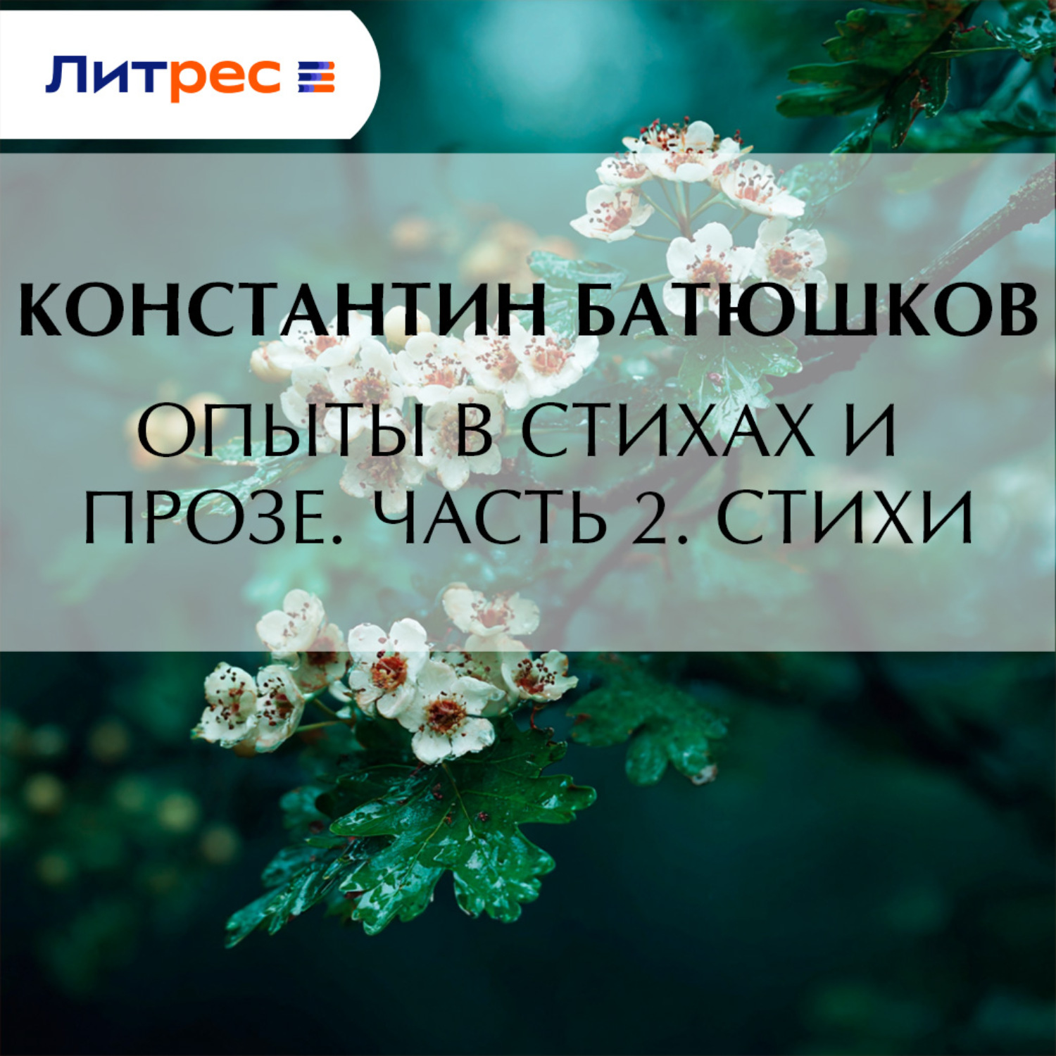 Обложка книги «Опыты в стихах и прозе. Часть 2. Стихи»