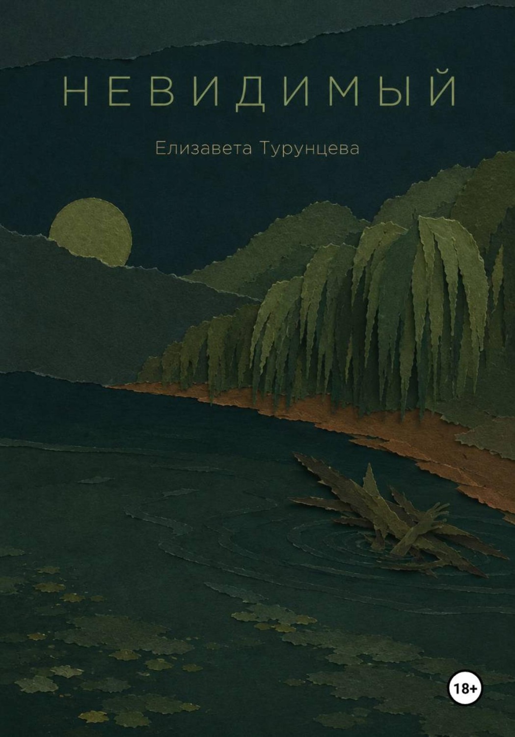 Обложка книги «Невидимый»