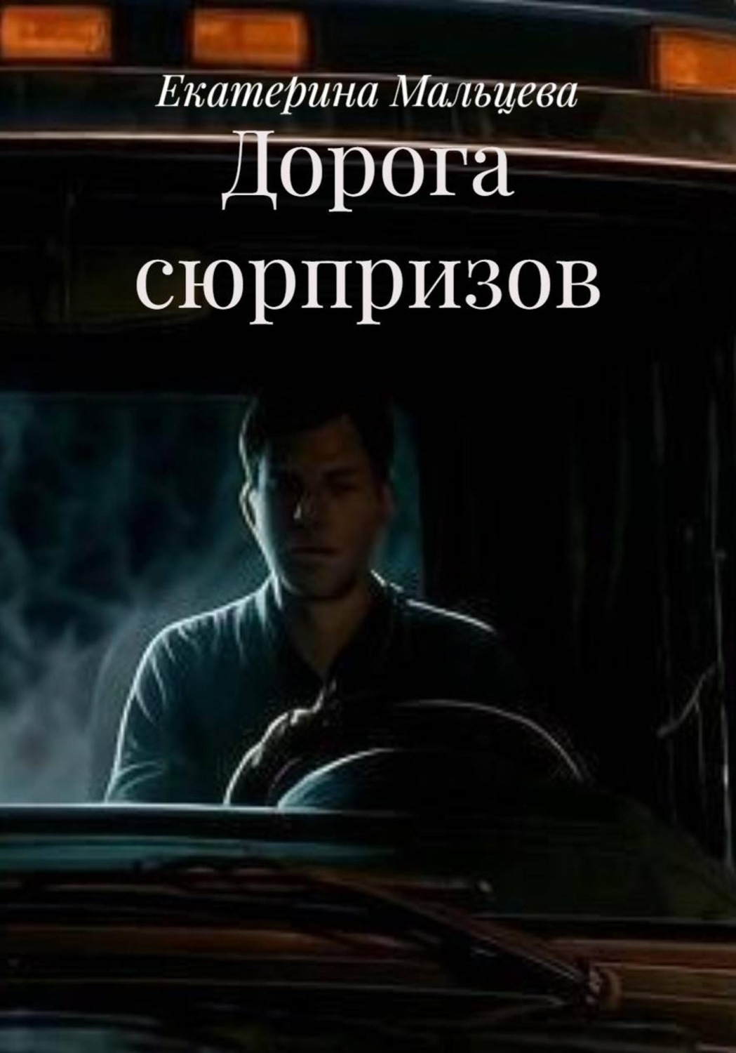 Обложка книги «Дорога сюрпризов»