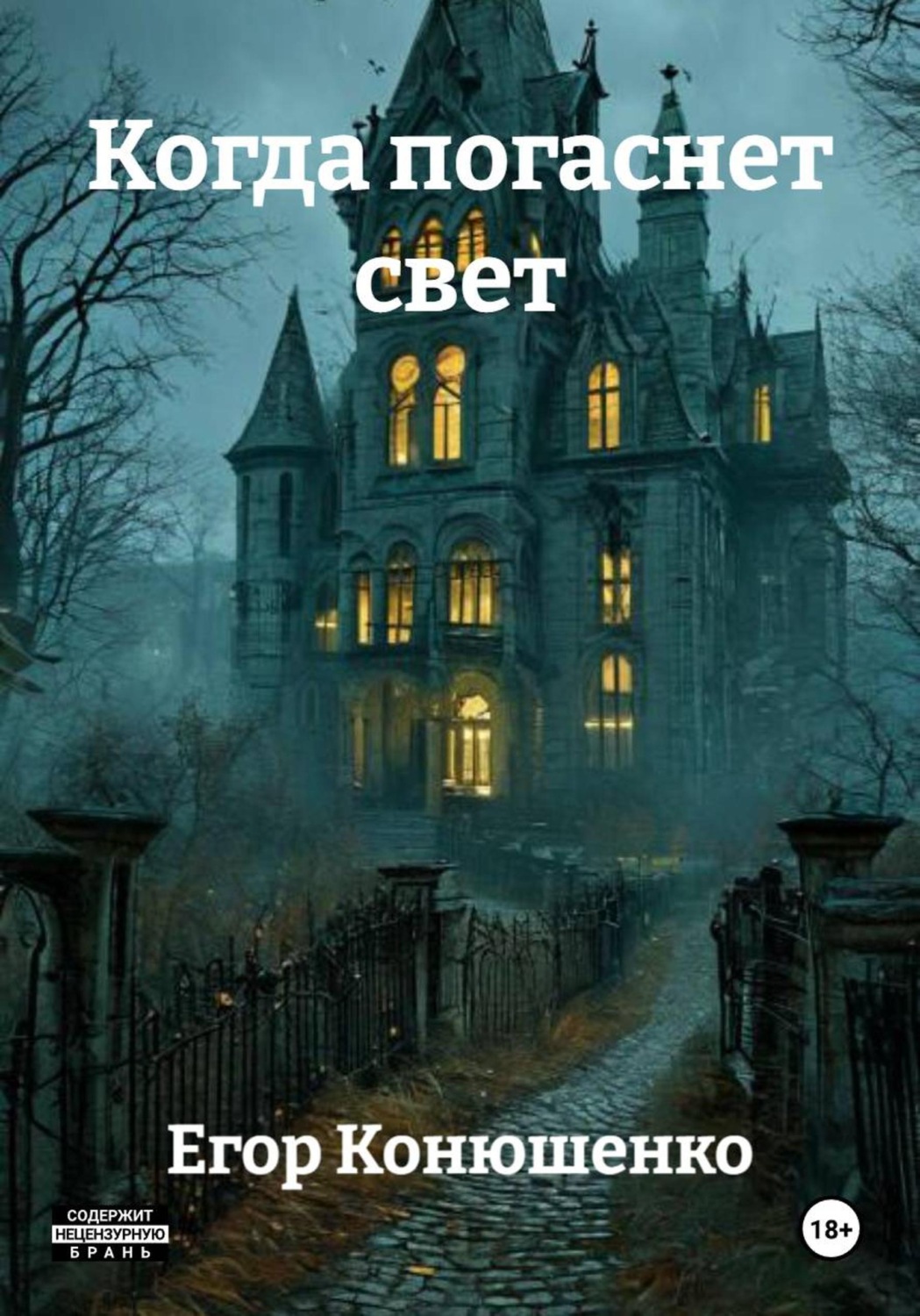 Обложка книги «Когда погаснет свет»
