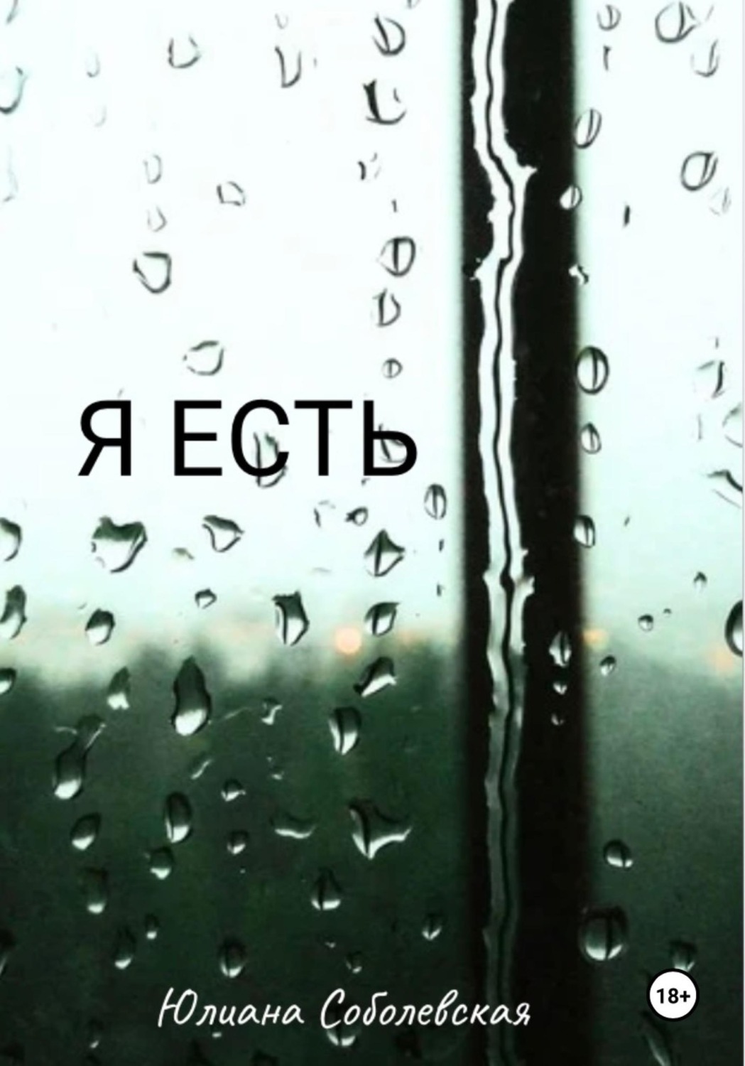 Обложка книги «Я есть»