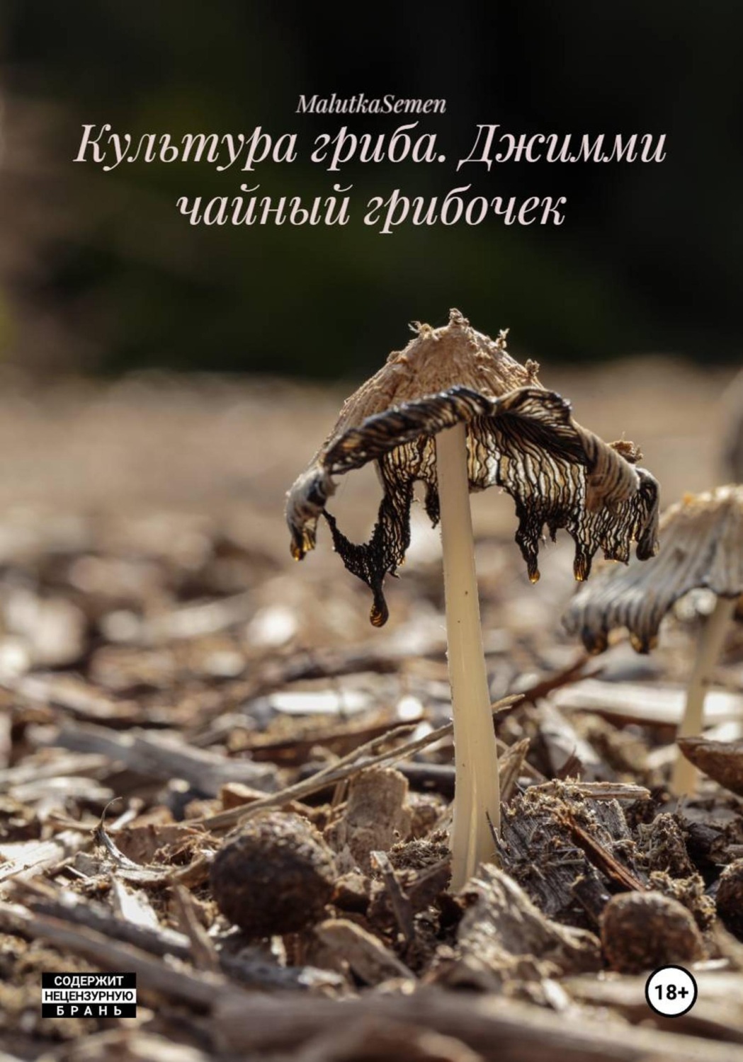 Обложка книги «Культура гриба. Джимми чайный грибочек»
