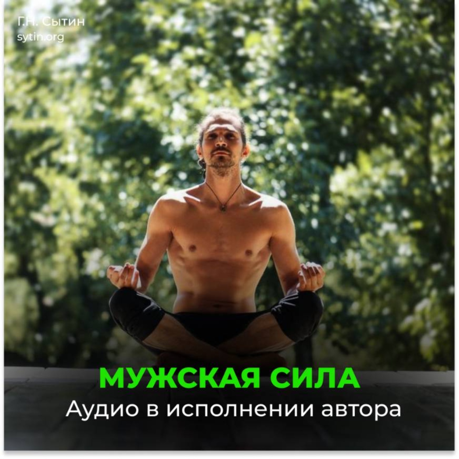 Обложка книги «Мужская сила. Рост яичек»