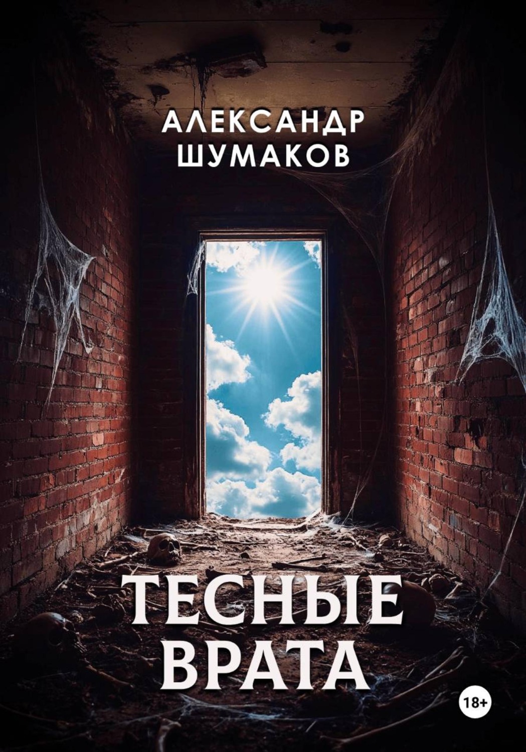 Обложка книги «Тесные врата»