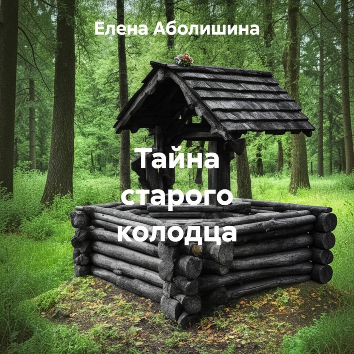 Обложка книги «Тайна старого колодца»