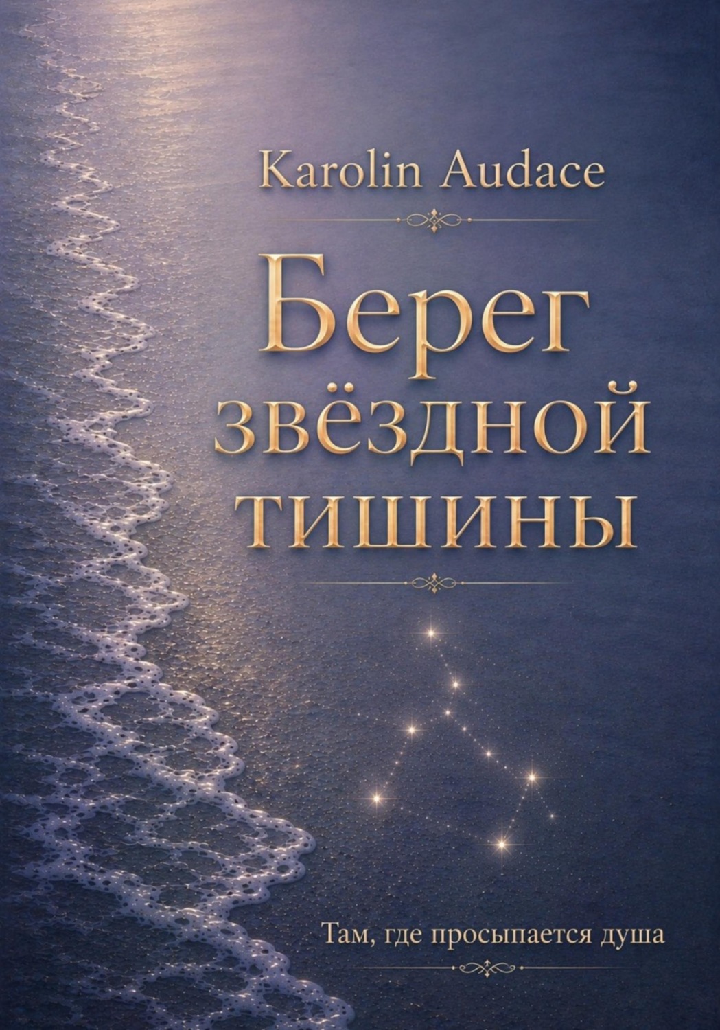 Обложка книги «Берег звёздной тишины»