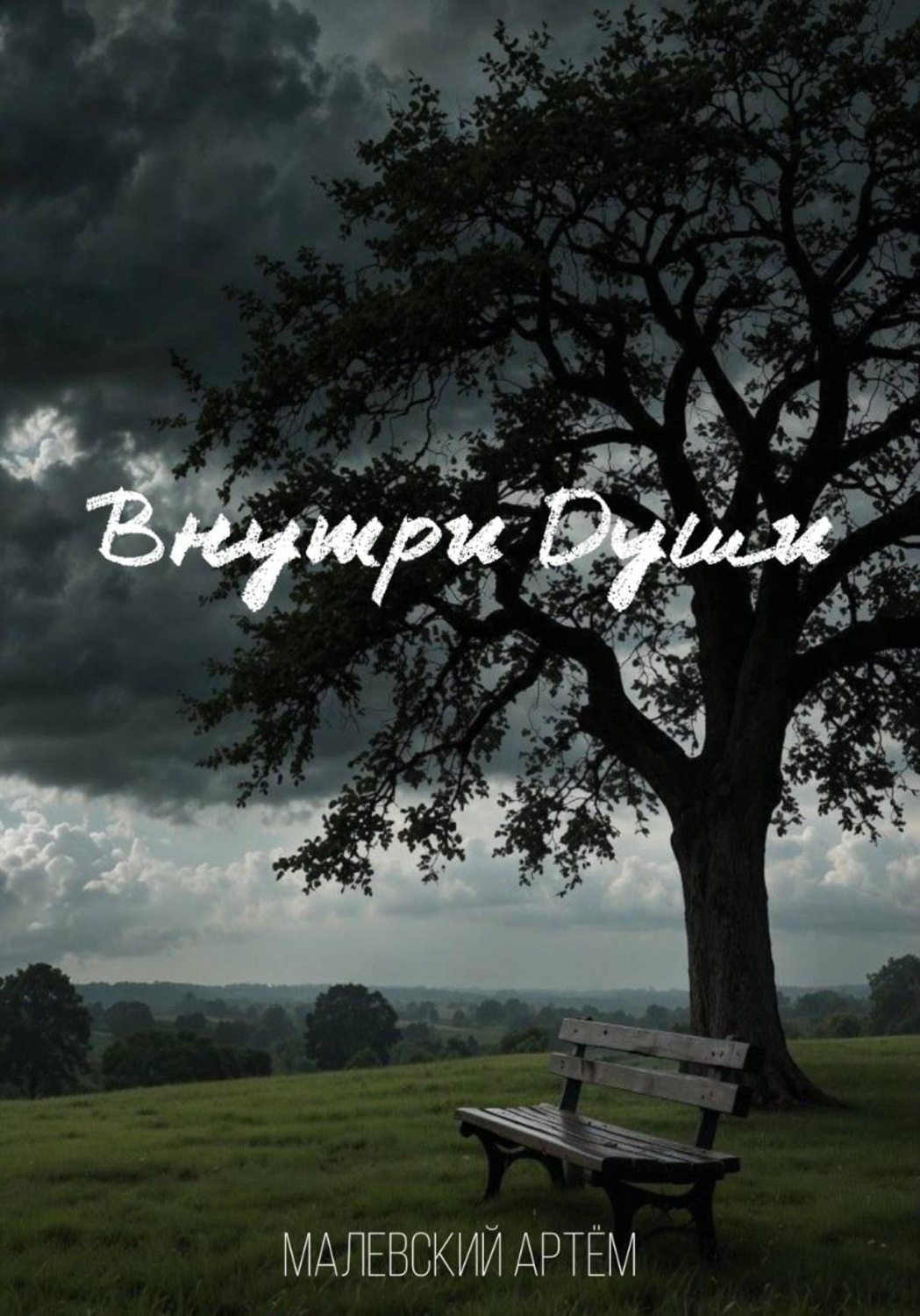 Обложка книги «Внутри Души»