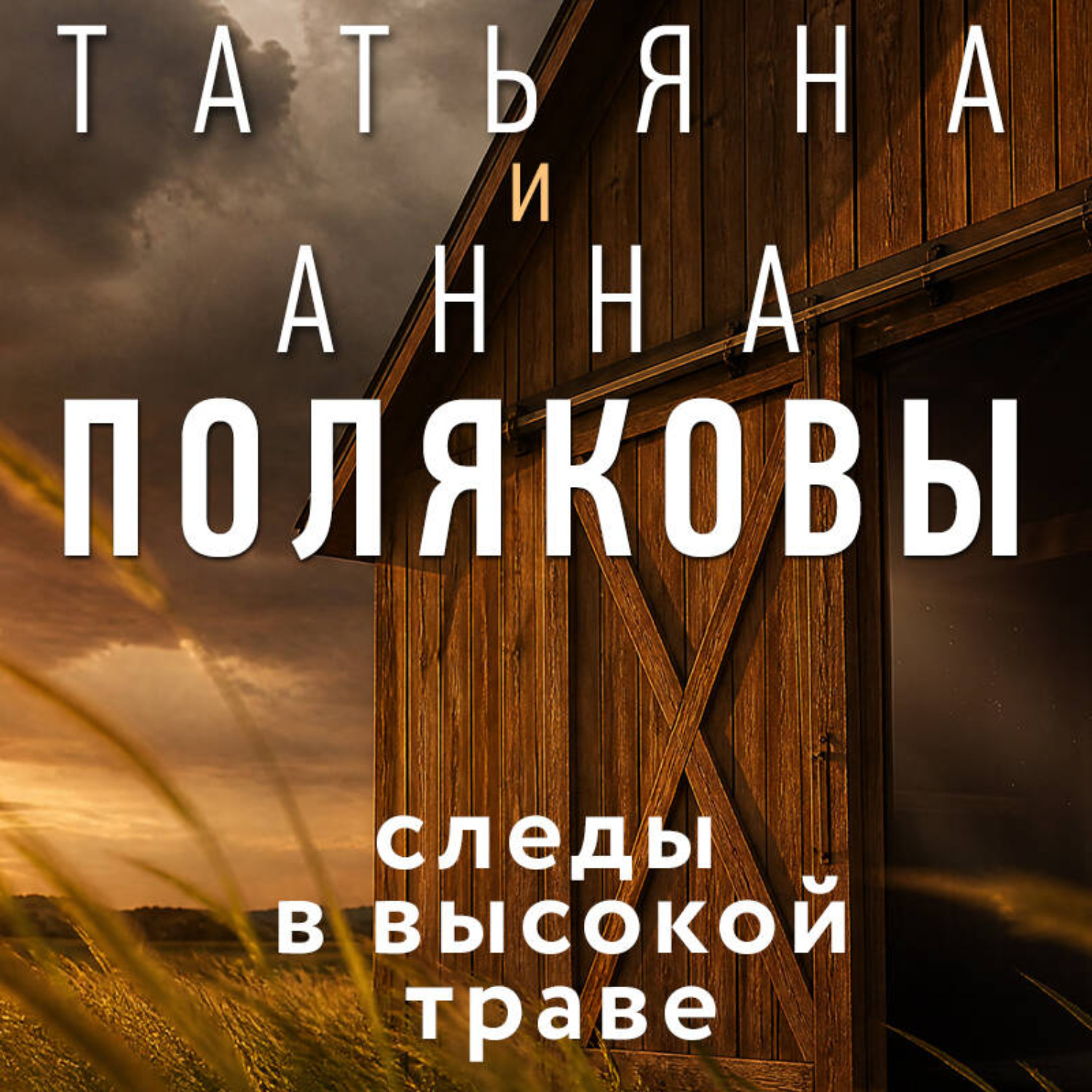 Обложка книги «Следы в высокой траве»