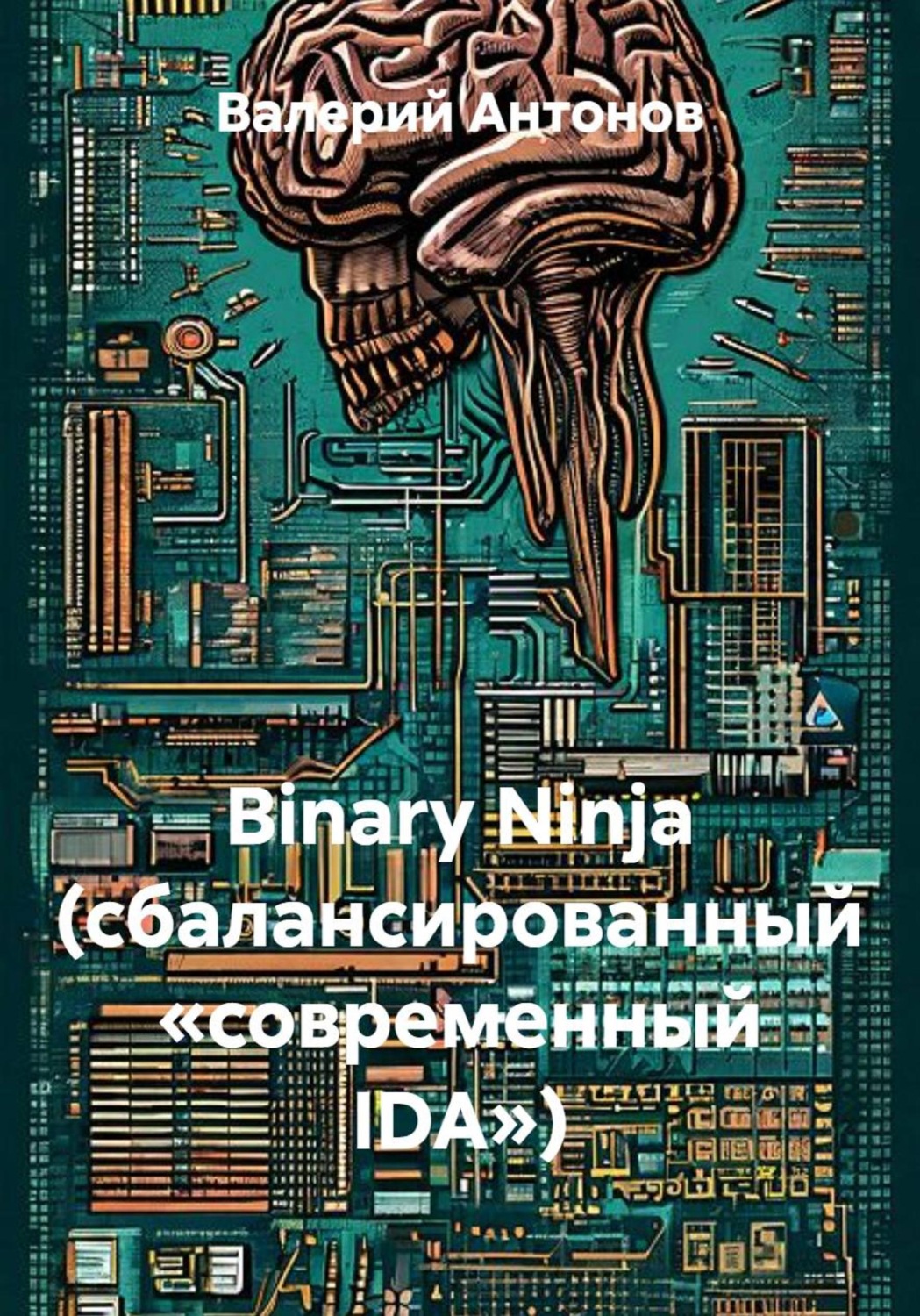 Обложка книги «Binary Ninja (сбалансированный «современный IDA»)»