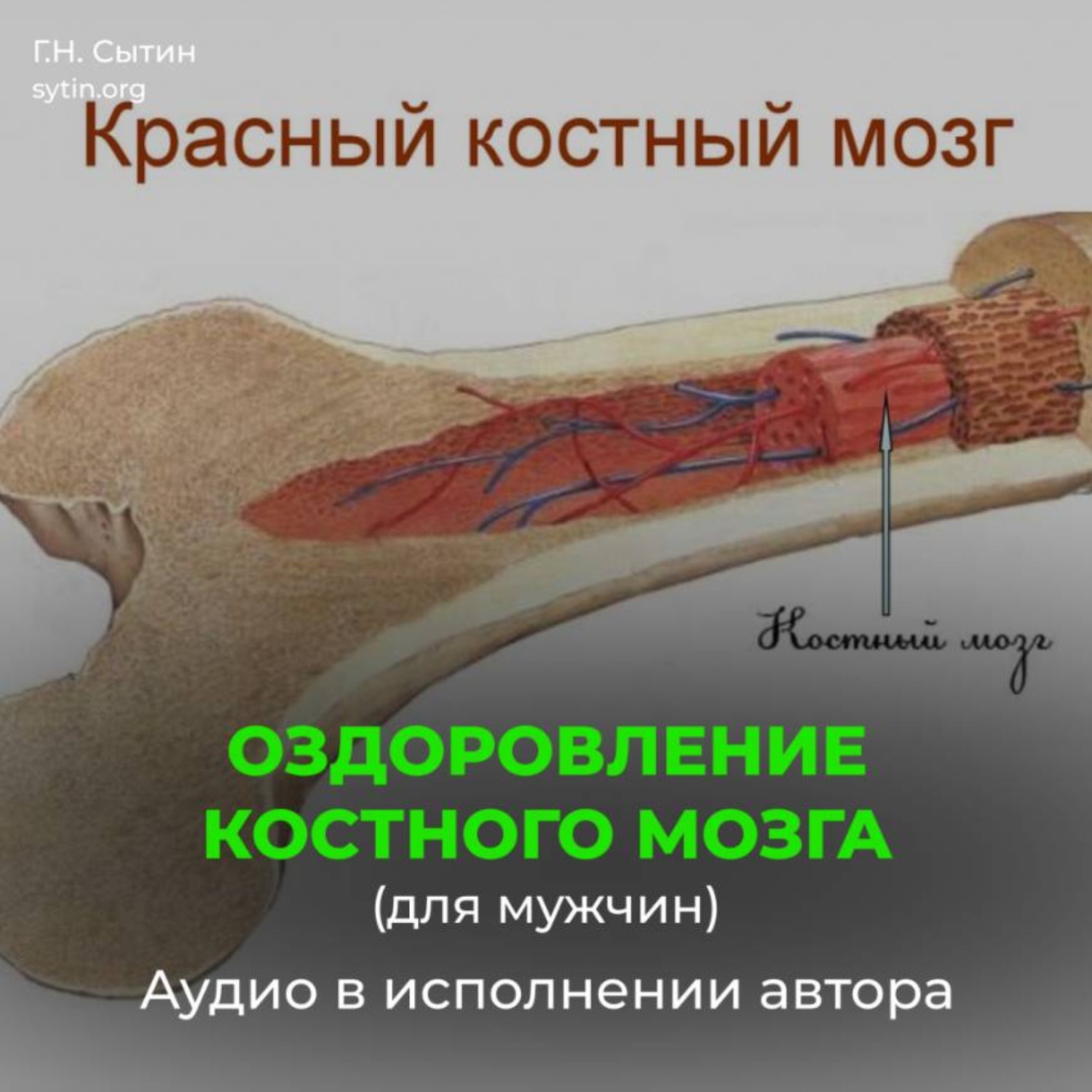 Обложка книги «Оздоровление костного мозга для мужчин»