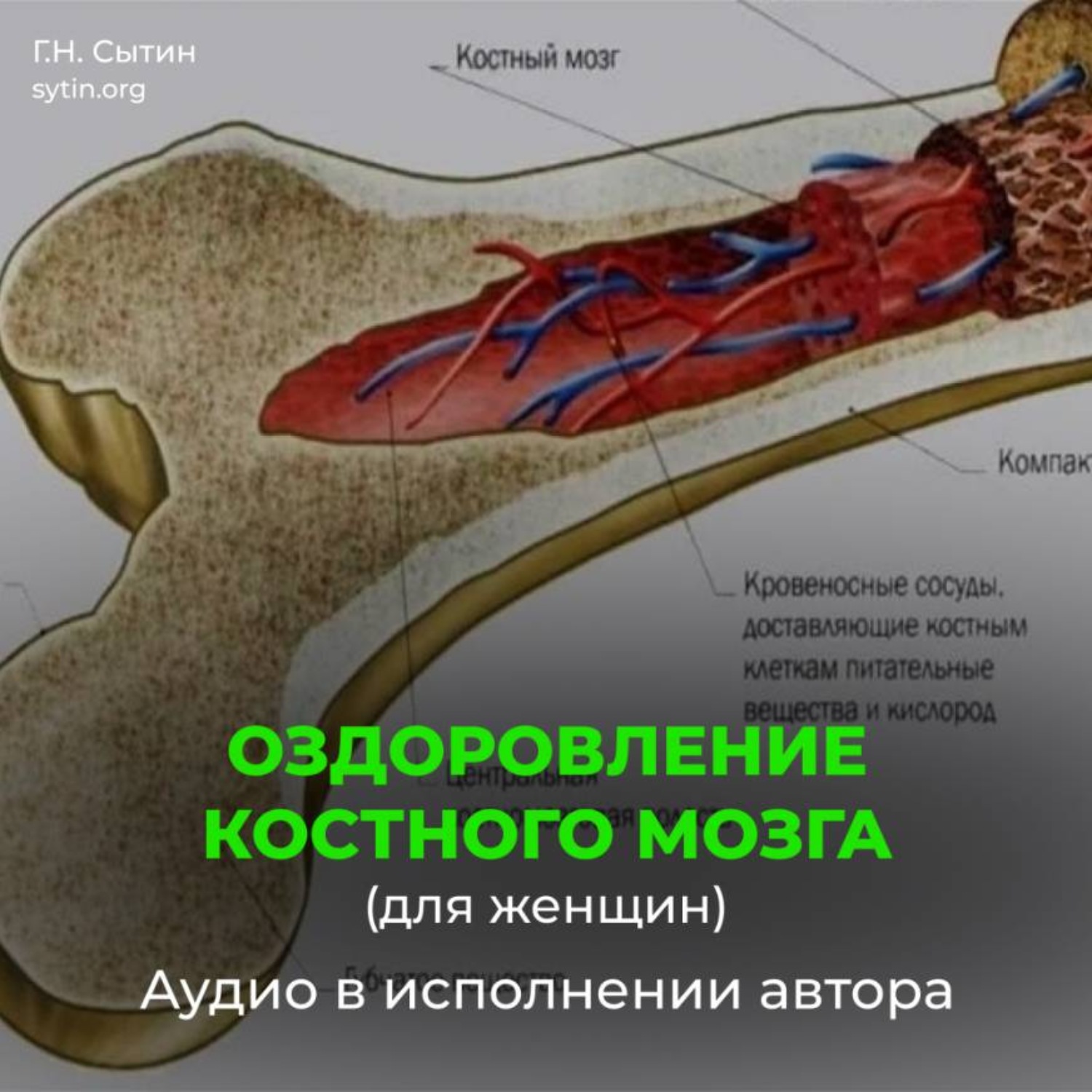 Обложка книги «Оздоровление костного мозга для женщин»