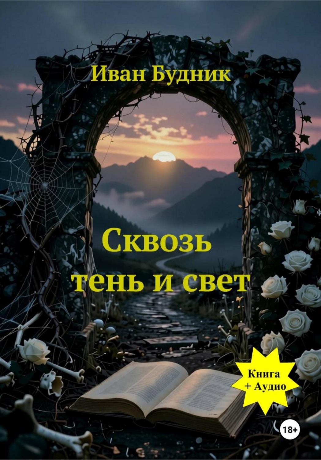 Обложка книги «Сквозь тень и свет»
