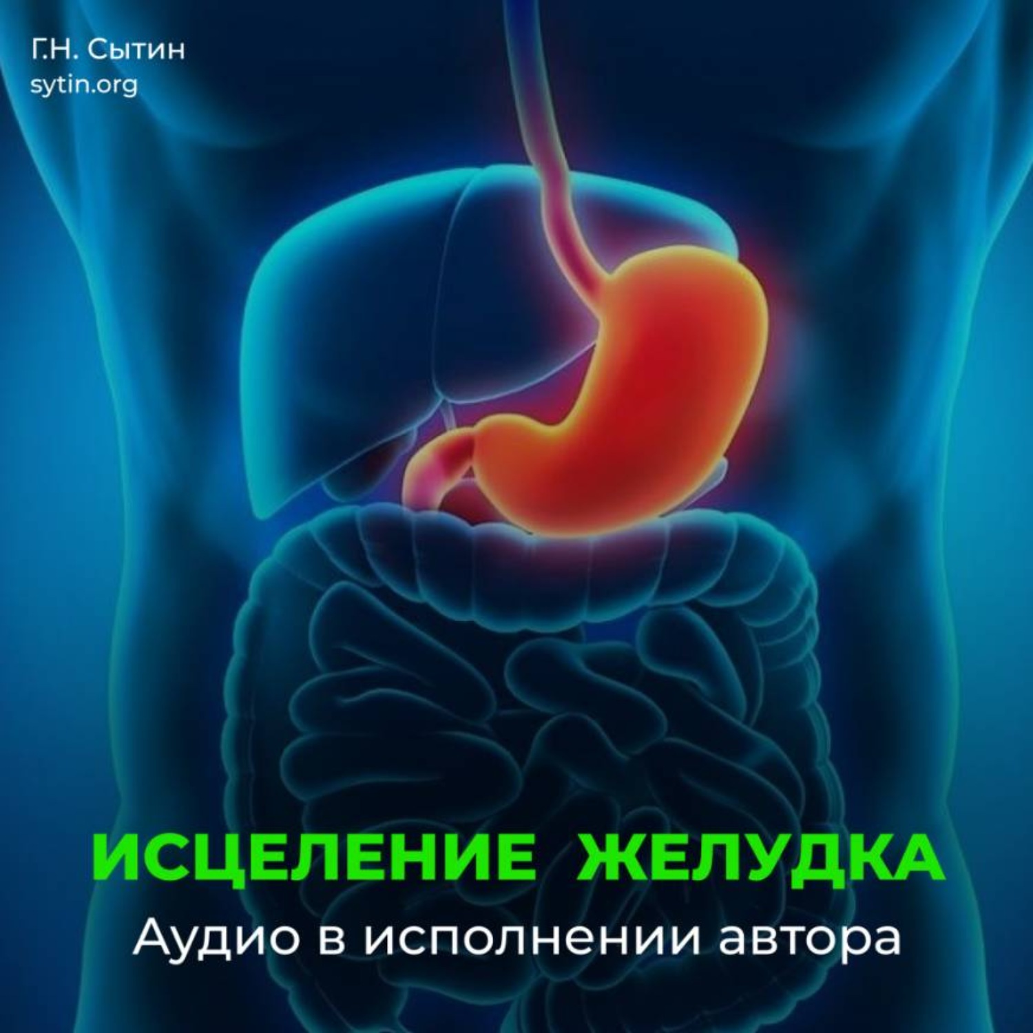Обложка книги «Исцеление омоложение желудка кишечника»