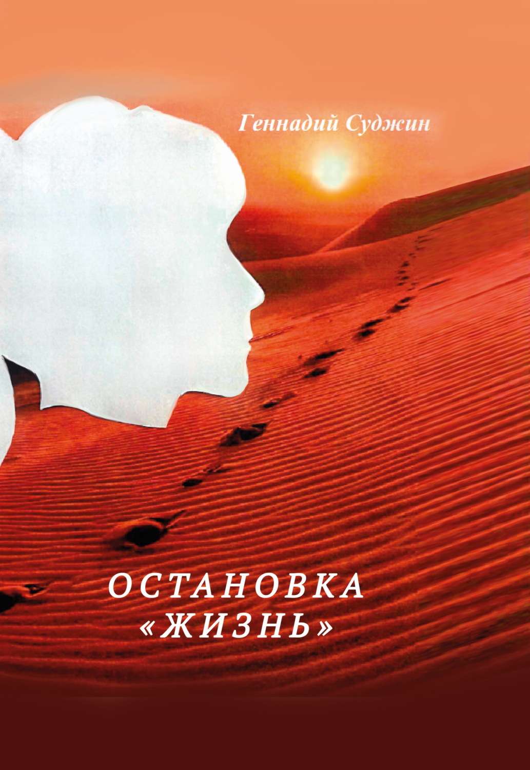 Обложка книги «Остановка «Жизнь»»