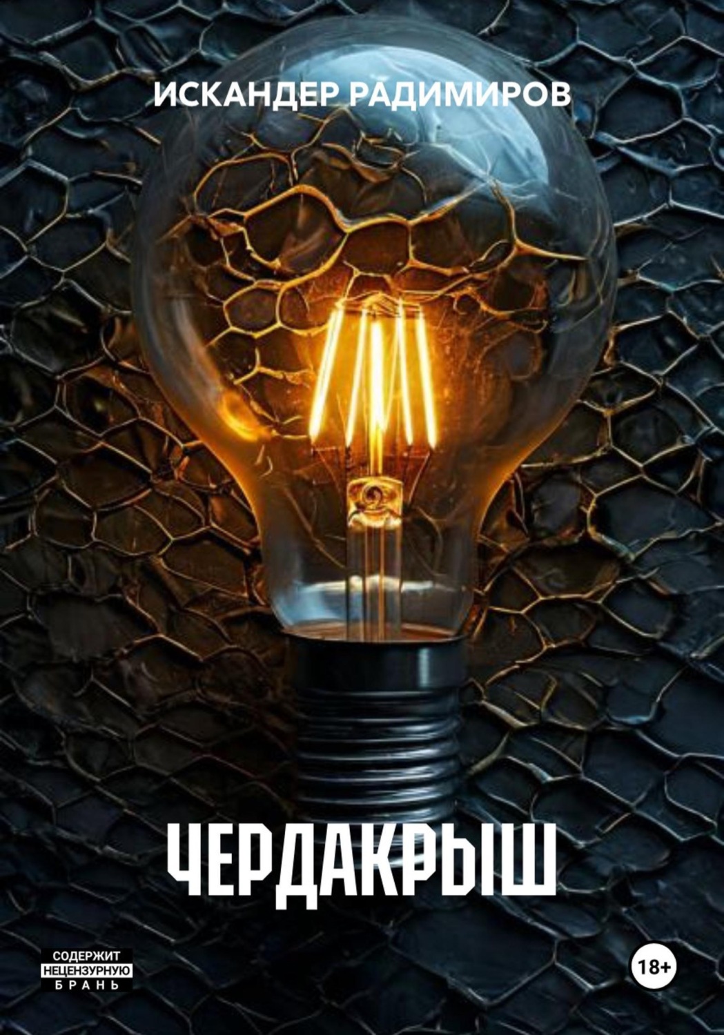 Обложка книги «ЧЕРДАКРЫШ»