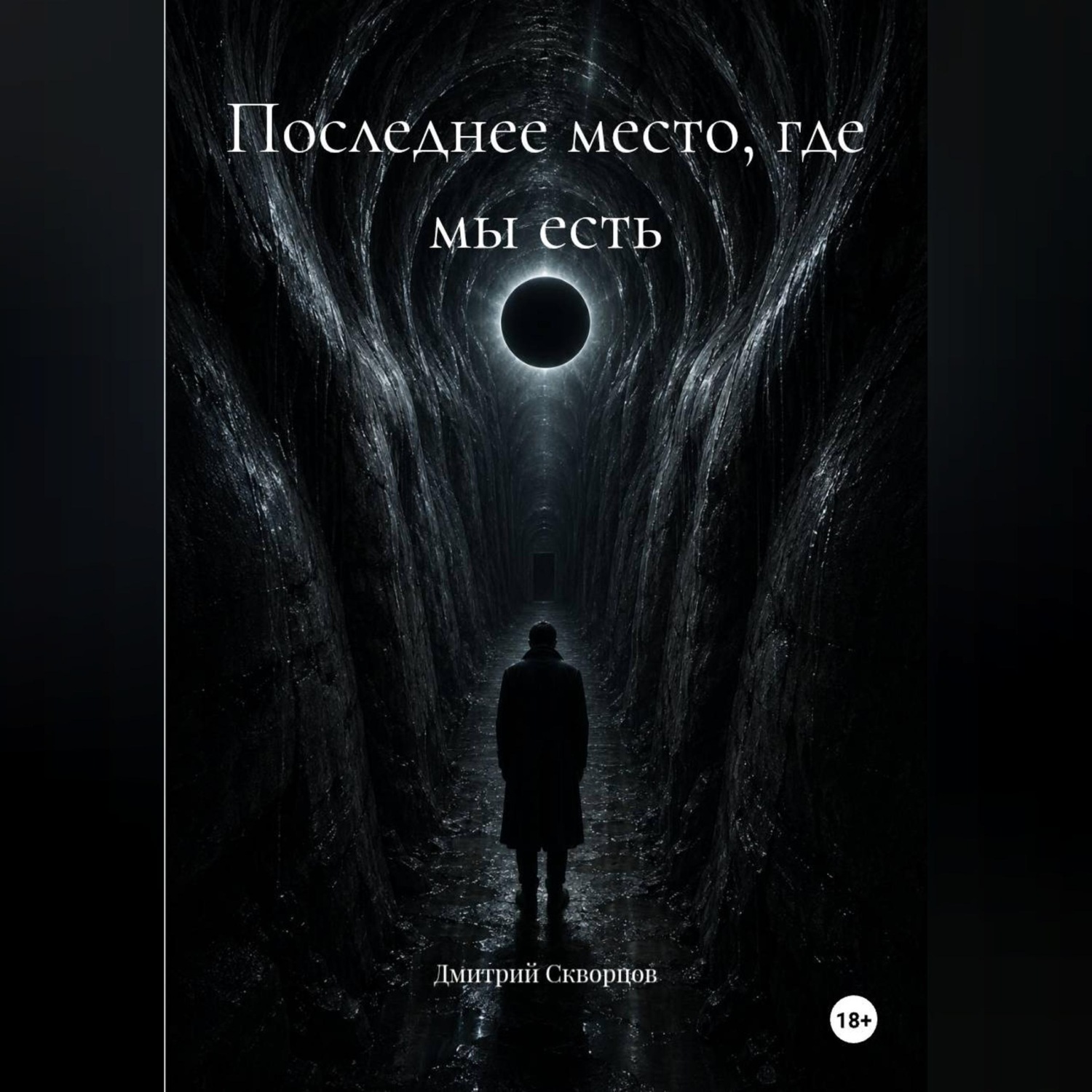 Обложка книги «Последнее место, где мы есть»