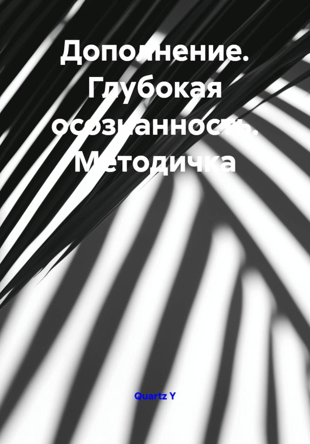 Обложка книги «Дополнение. Глубокая осознанность. Методичка»