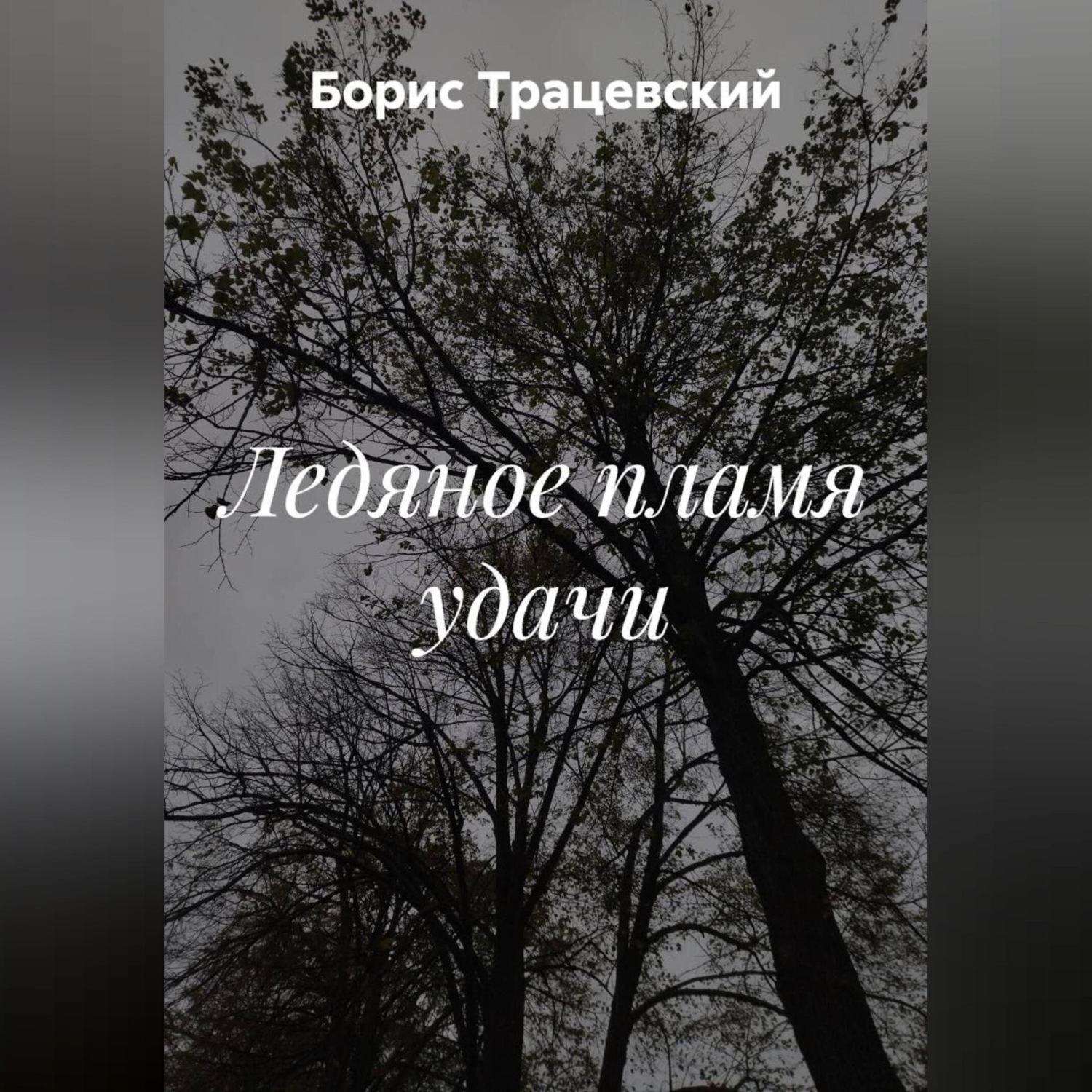 Обложка книги «Ледяное пламя удачи»