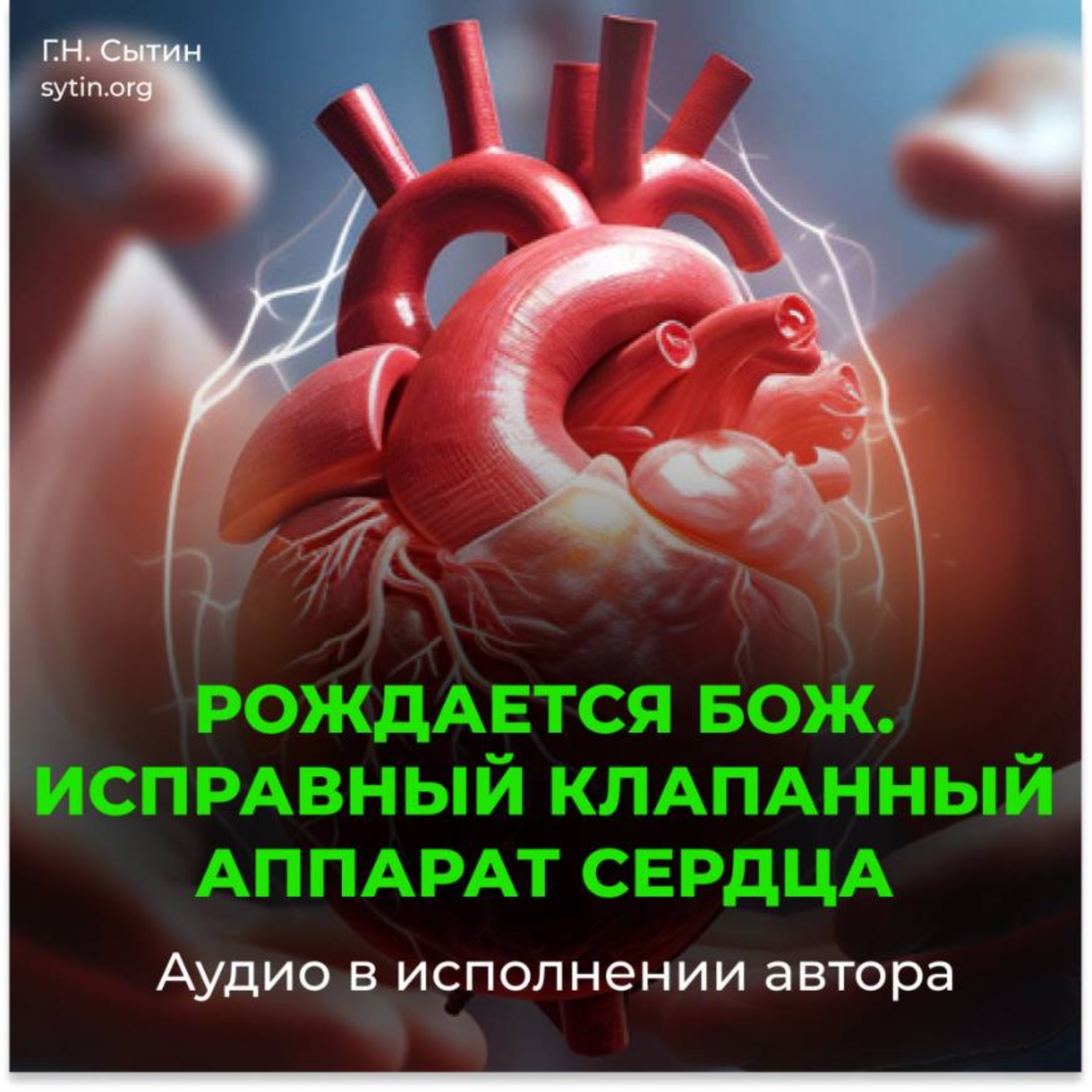 Обложка книги «Исправный клапанный аппарат сердца»