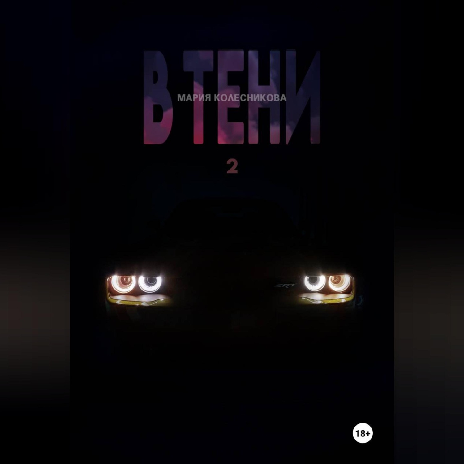 Обложка книги «В Тени 2»