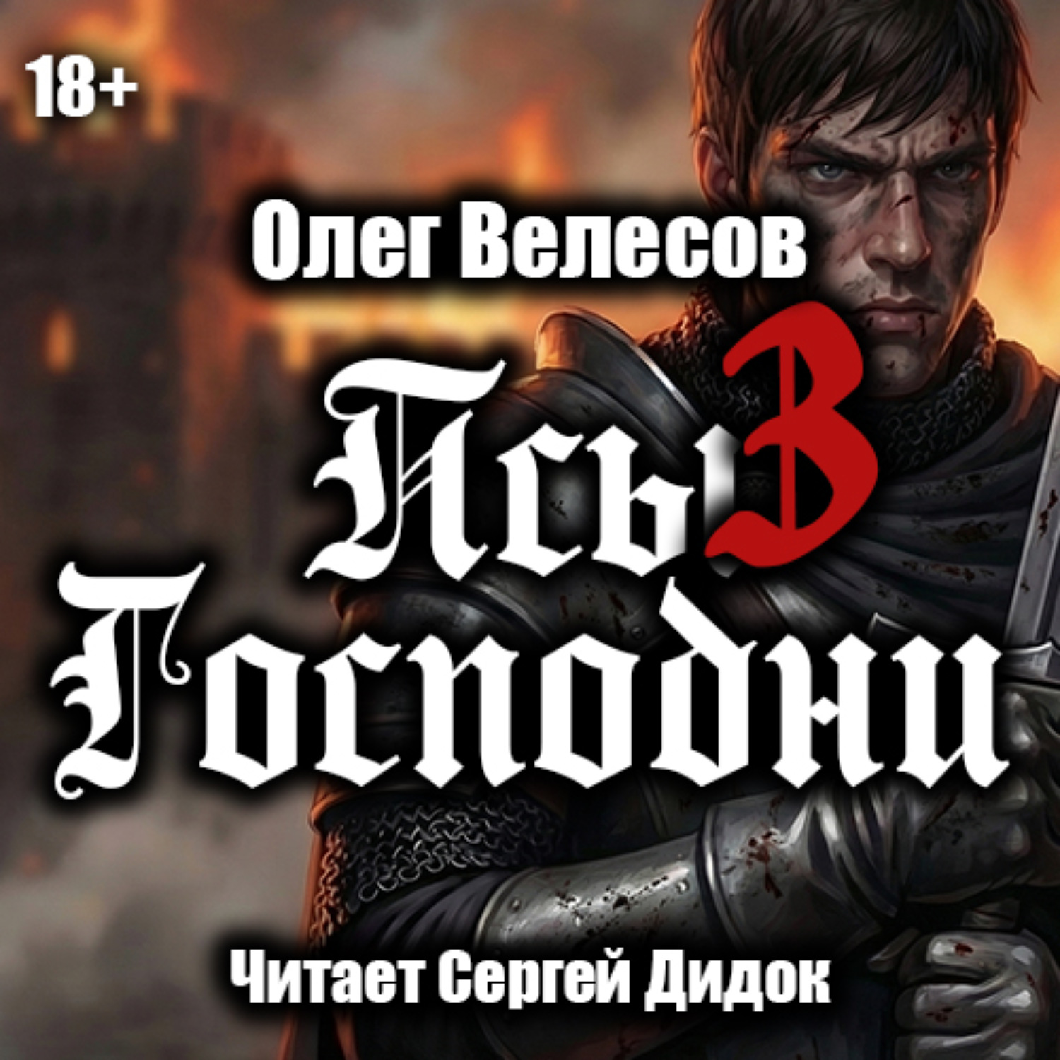 Обложка книги «Псы Господни-3»