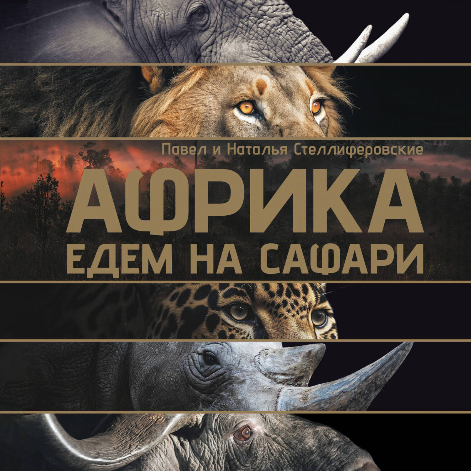Обложка книги «Африка. Едем на сафари»