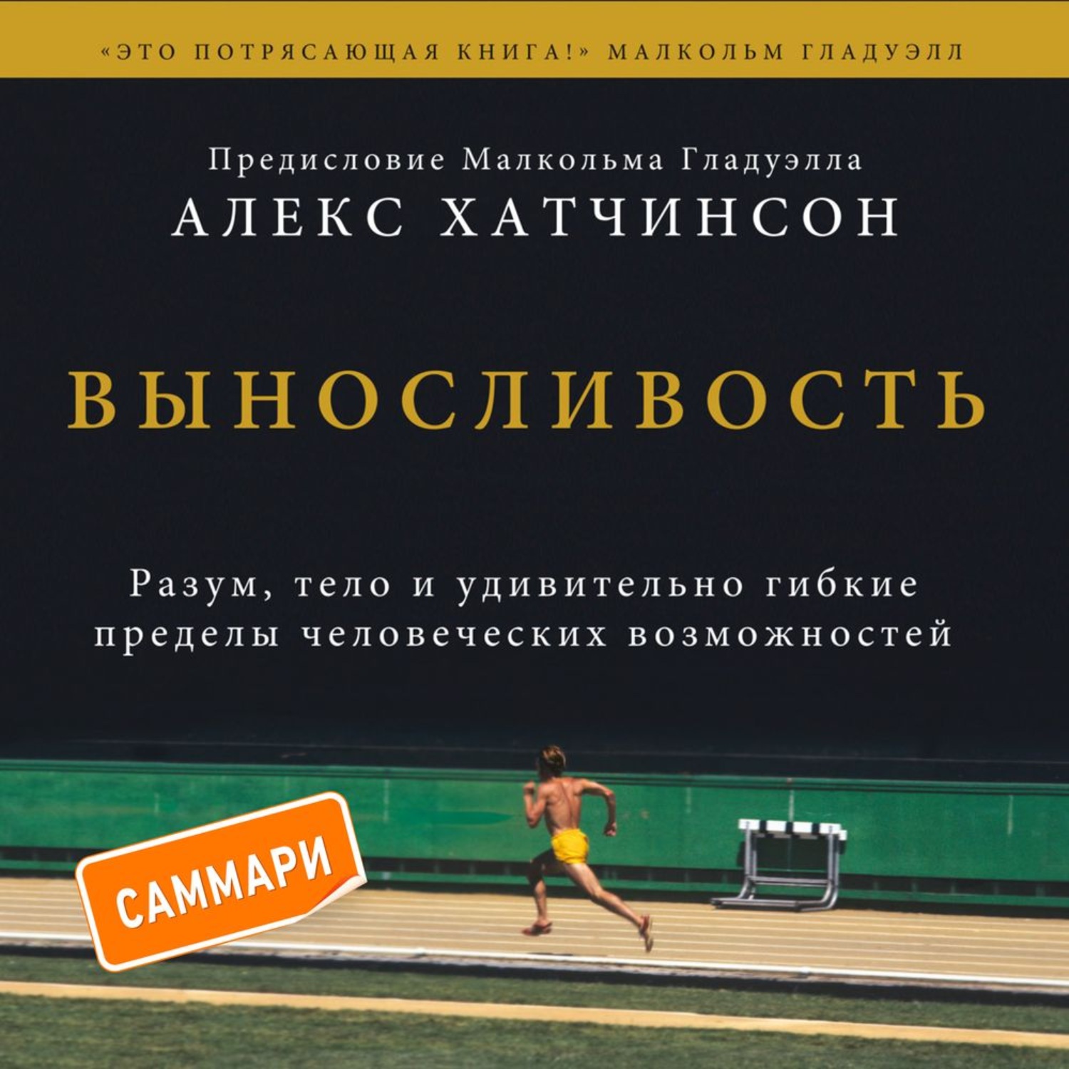 Обложка книги «Выносливость. Саммари. Разум, тело и удивительно гибкие пределы человеческих возможностей»