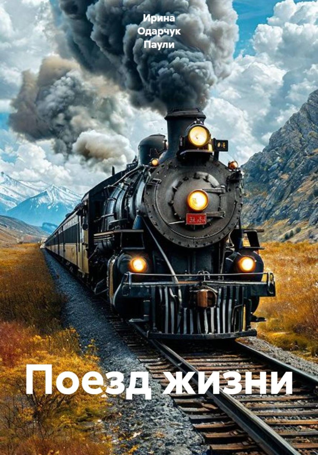 Обложка книги «Поезд жизни»