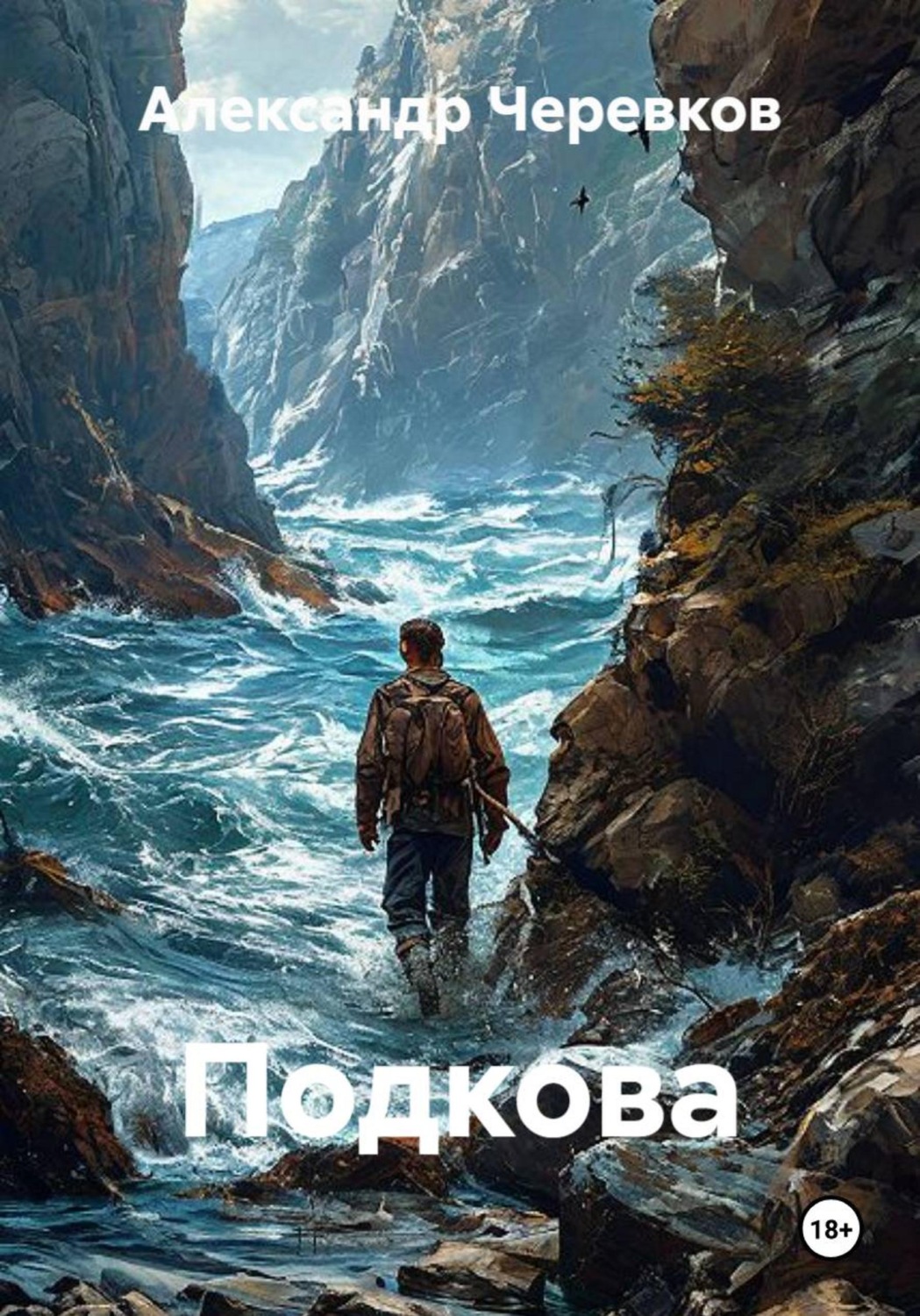 Обложка книги «Подкова»