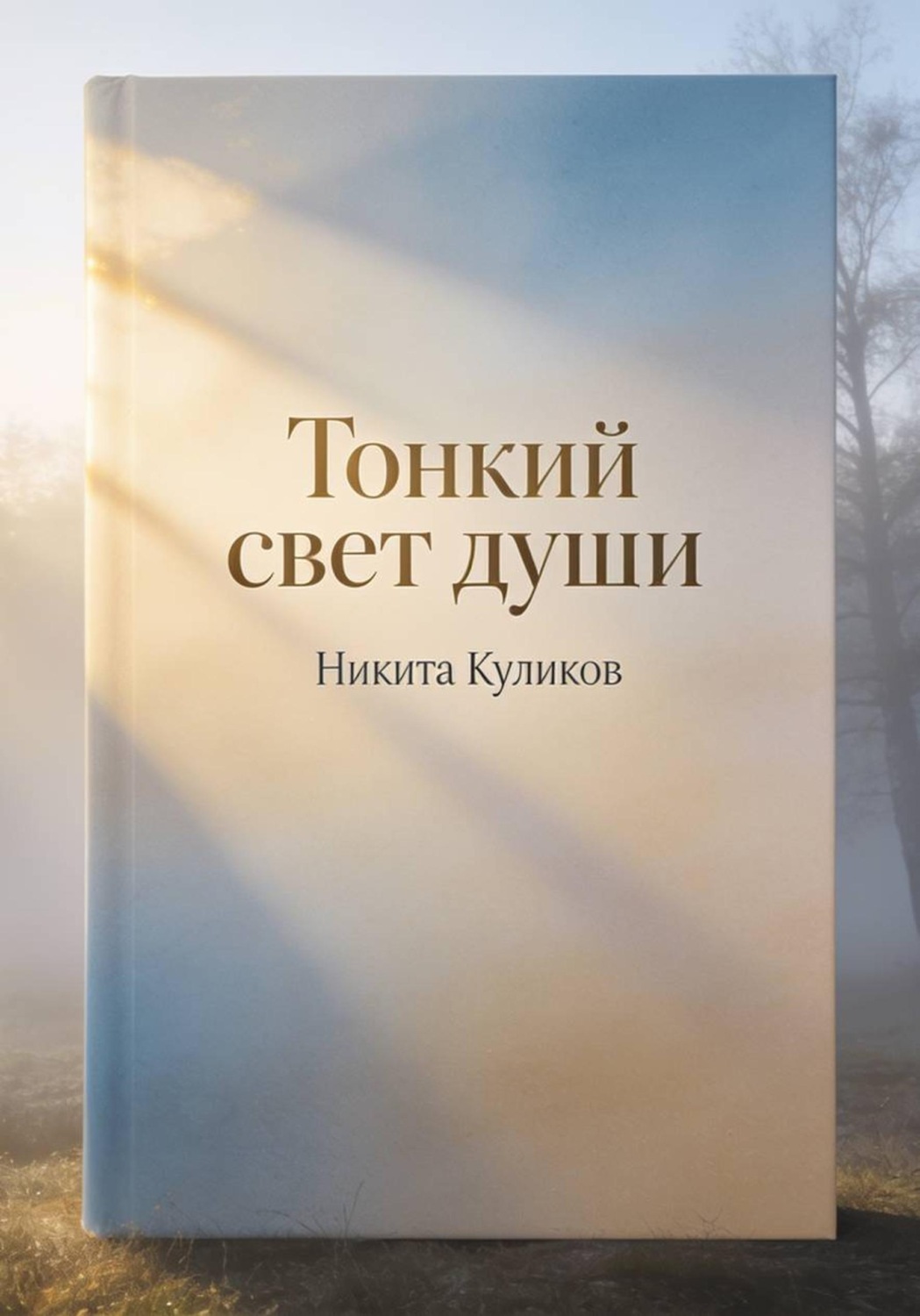 Обложка книги «Тонкий свет души»